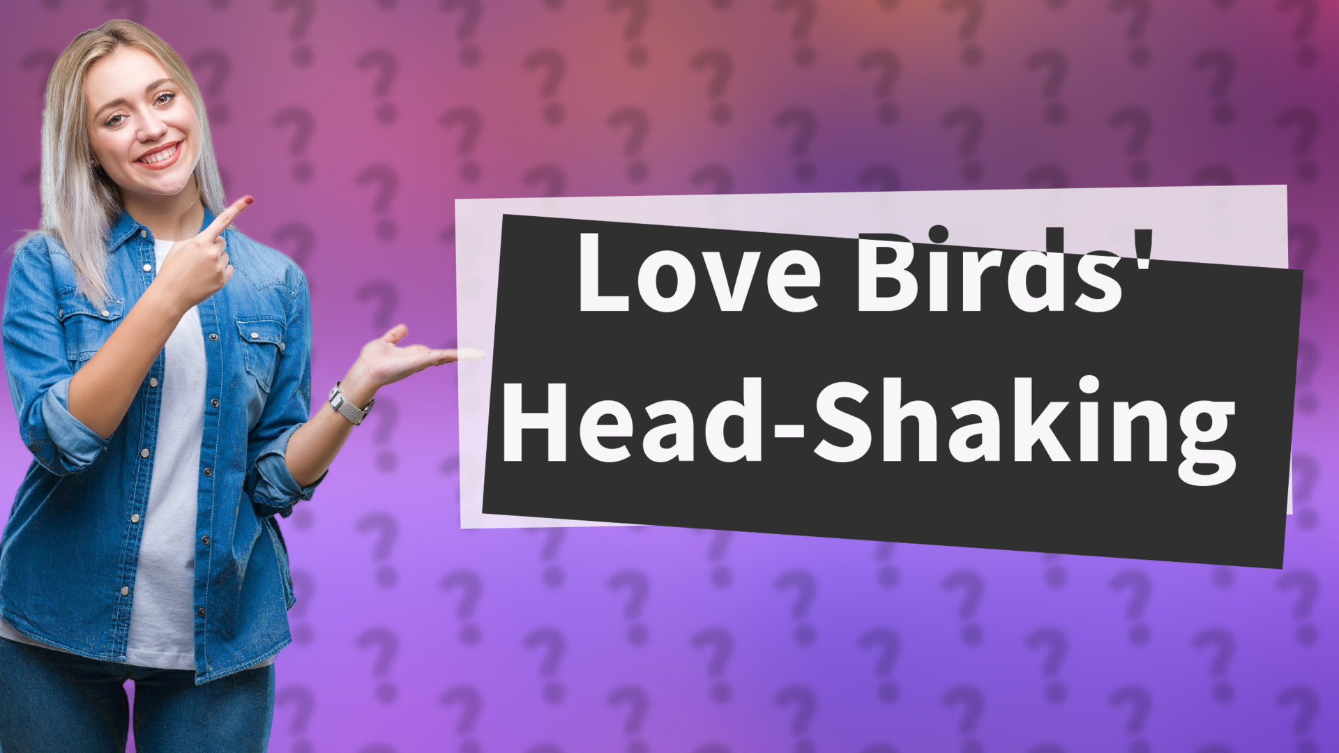 Love Birds' Head-Shaking