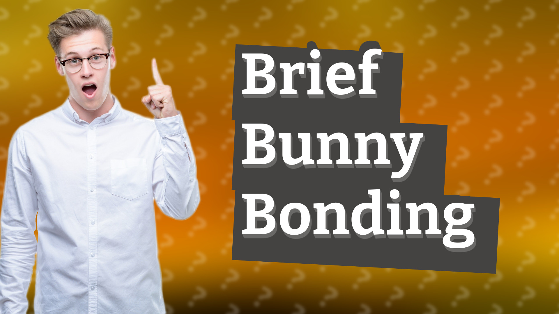 Brief Bunny Bonding