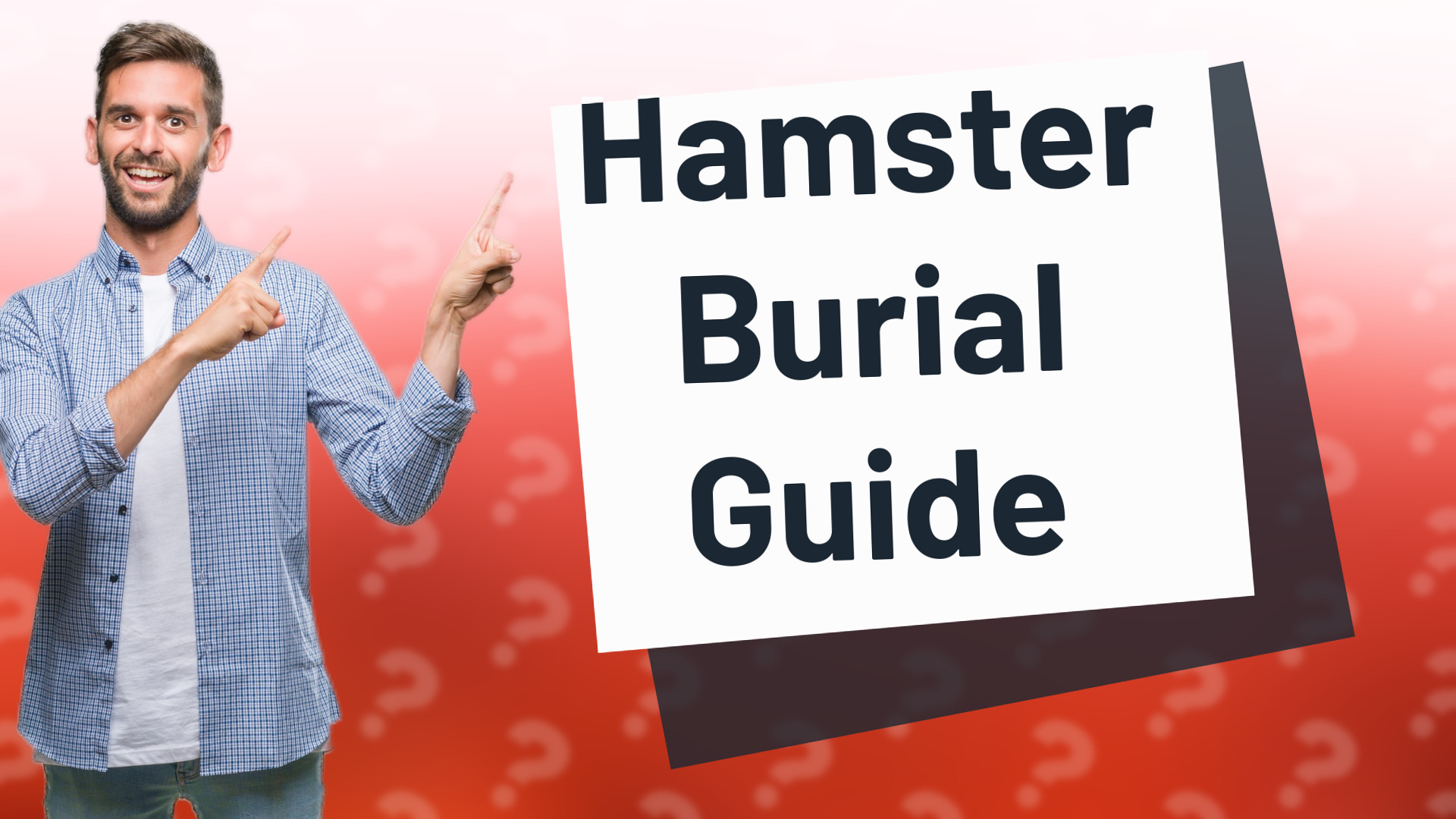 Hamster Burial Guide