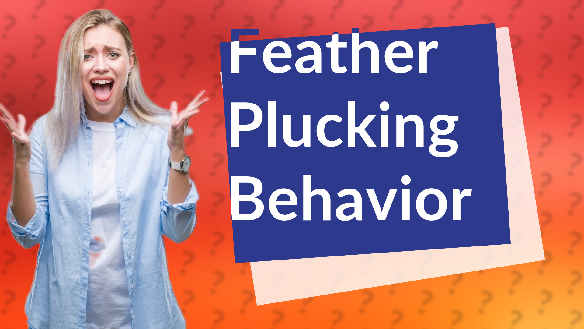 Feather Plucking Behavior