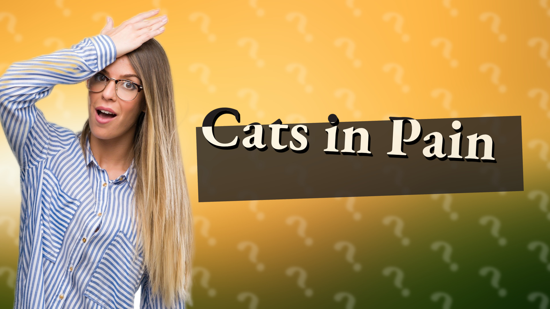 Cats in Pain