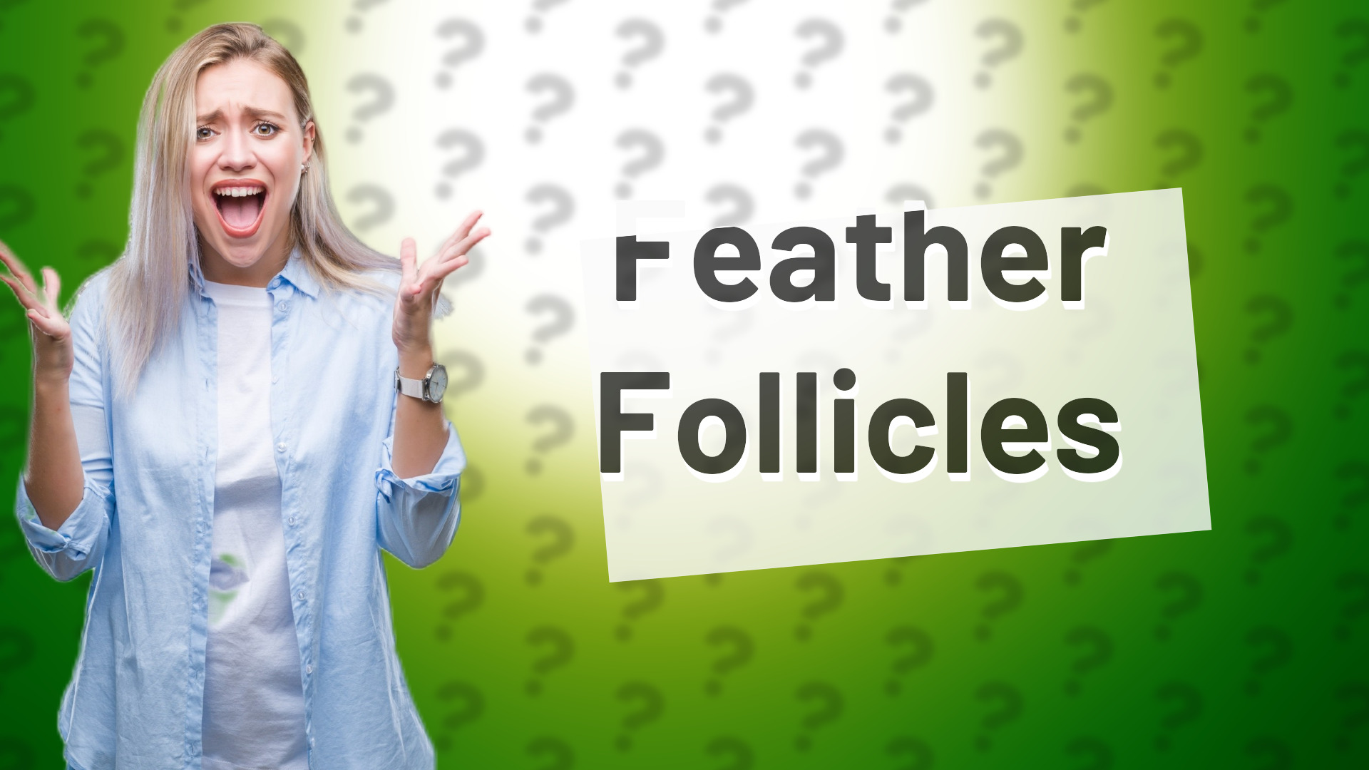 Feather Follicles