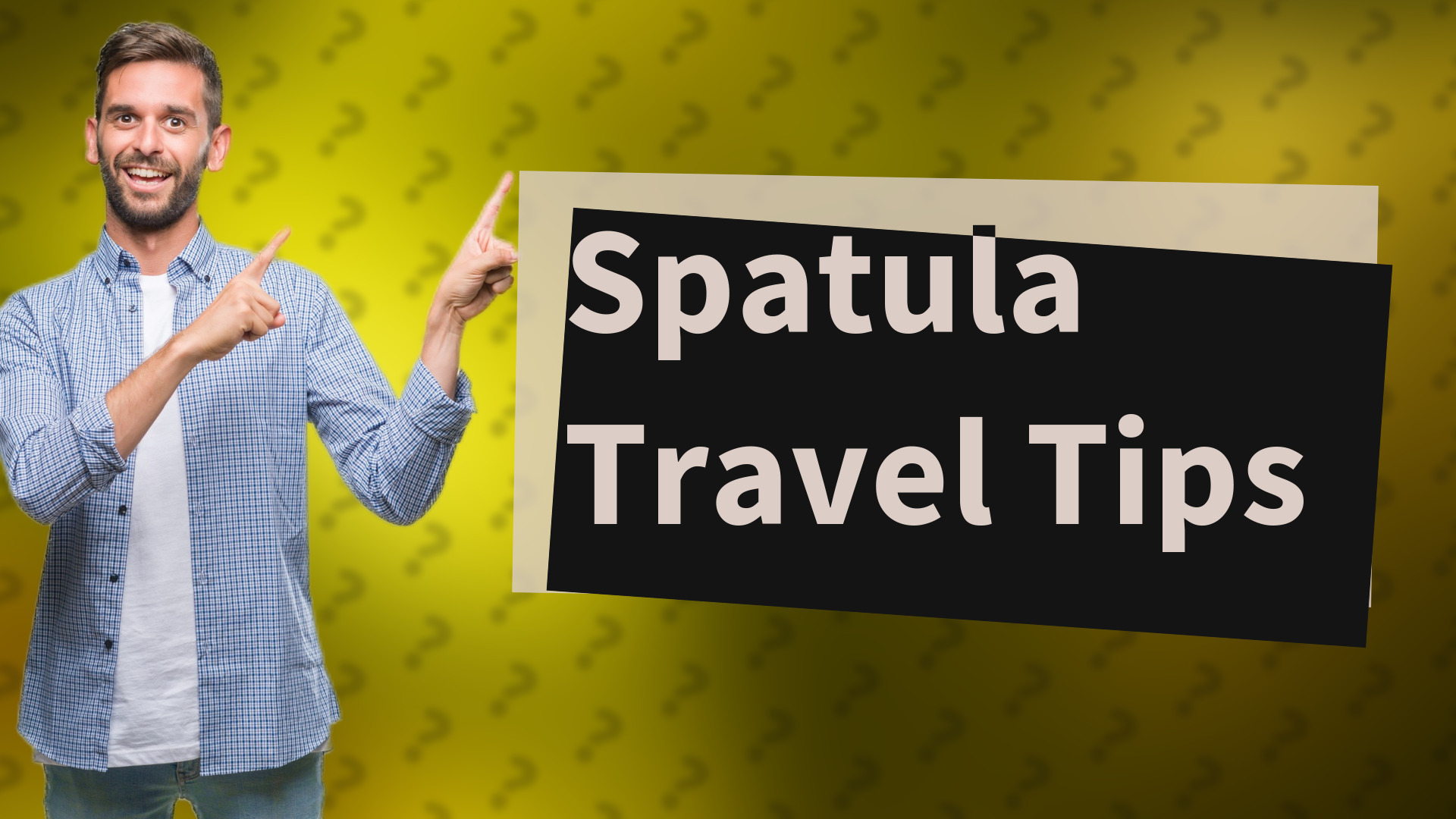Spatula Travel Tips