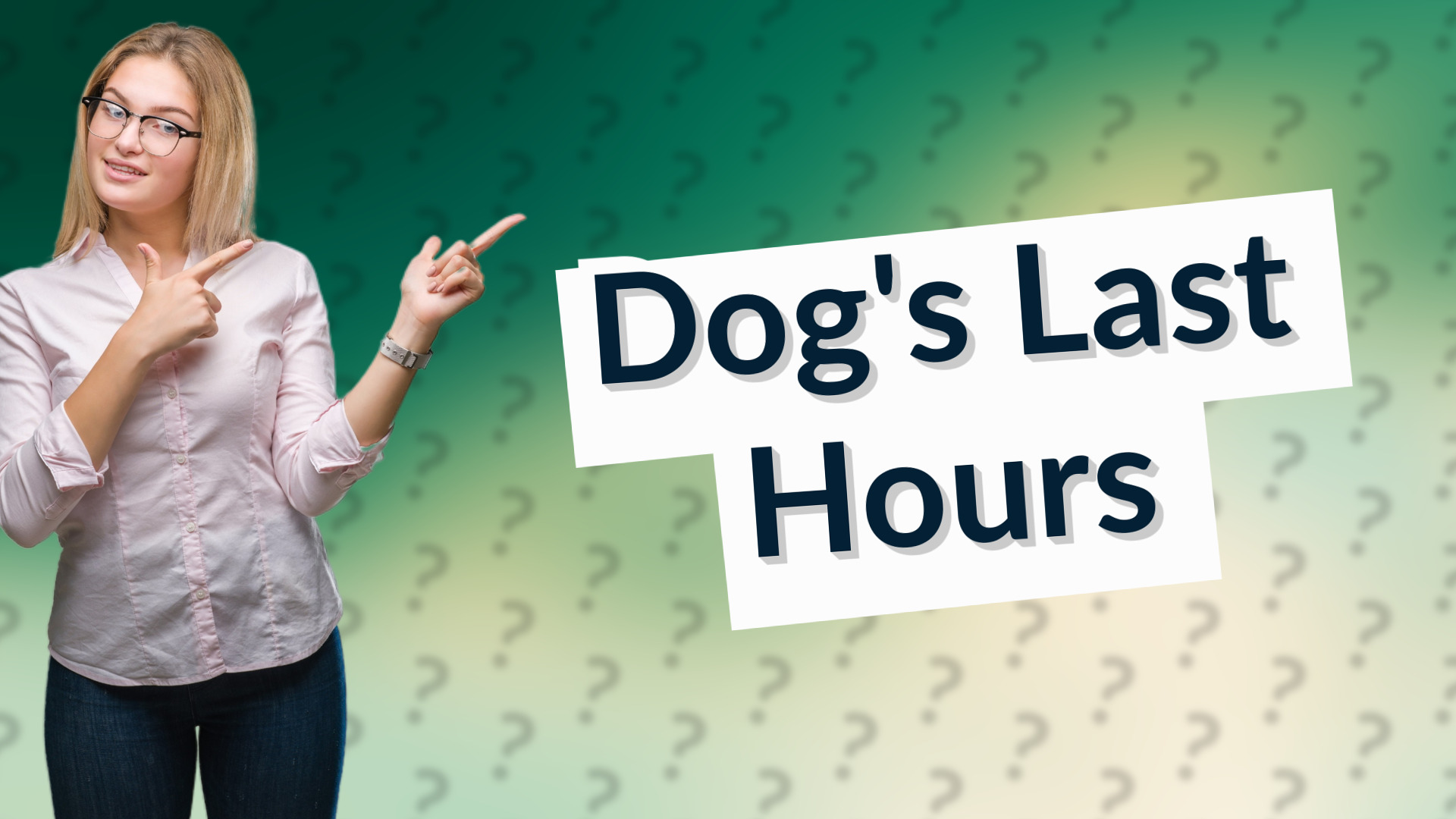 Dog's Last Hours