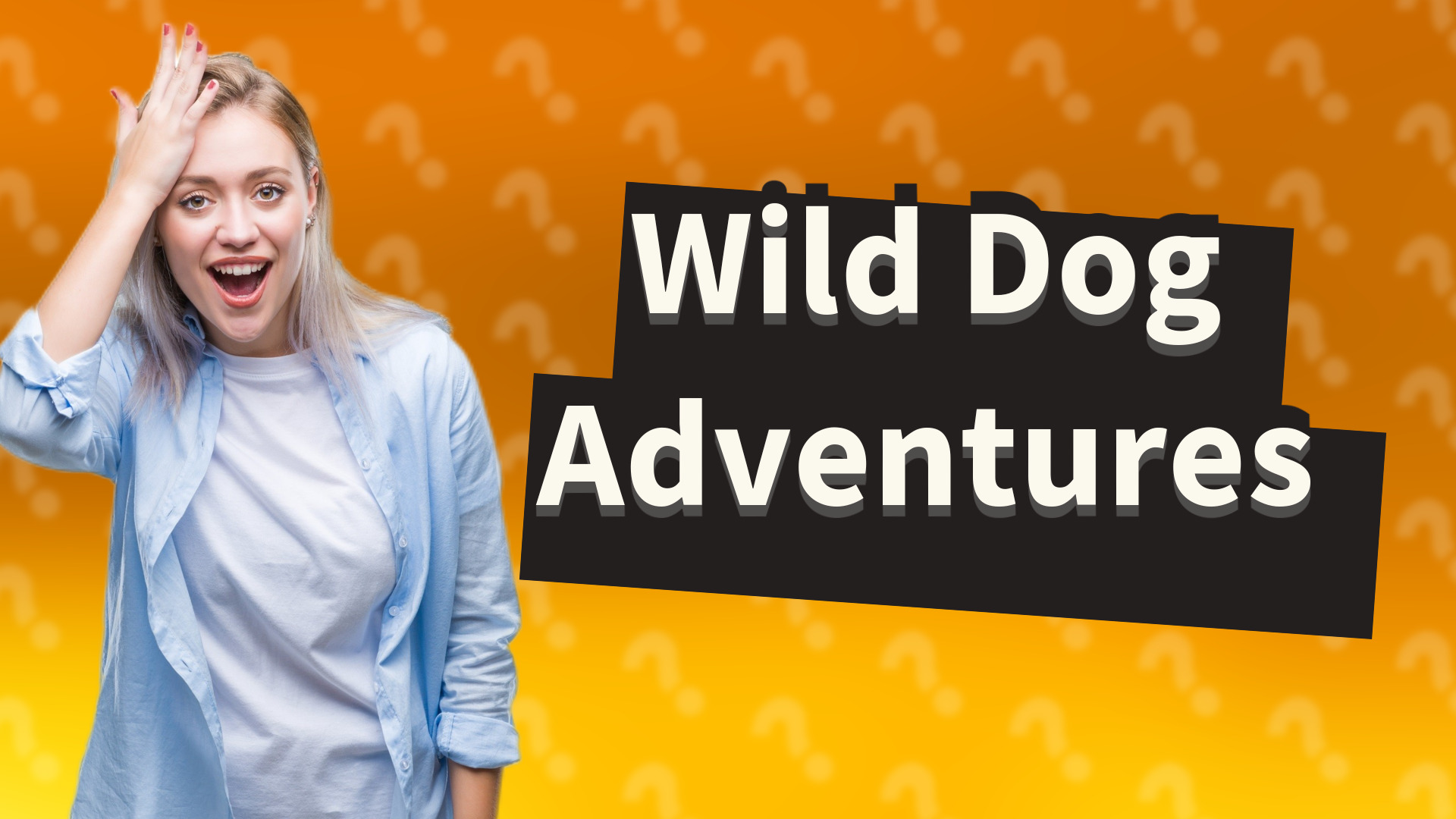 Wild Dog Adventures