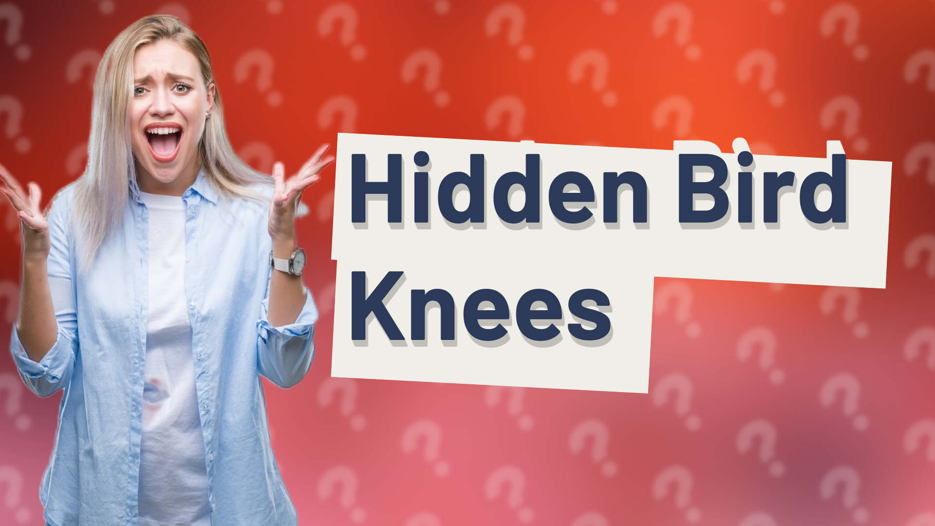 Hidden Bird Knees