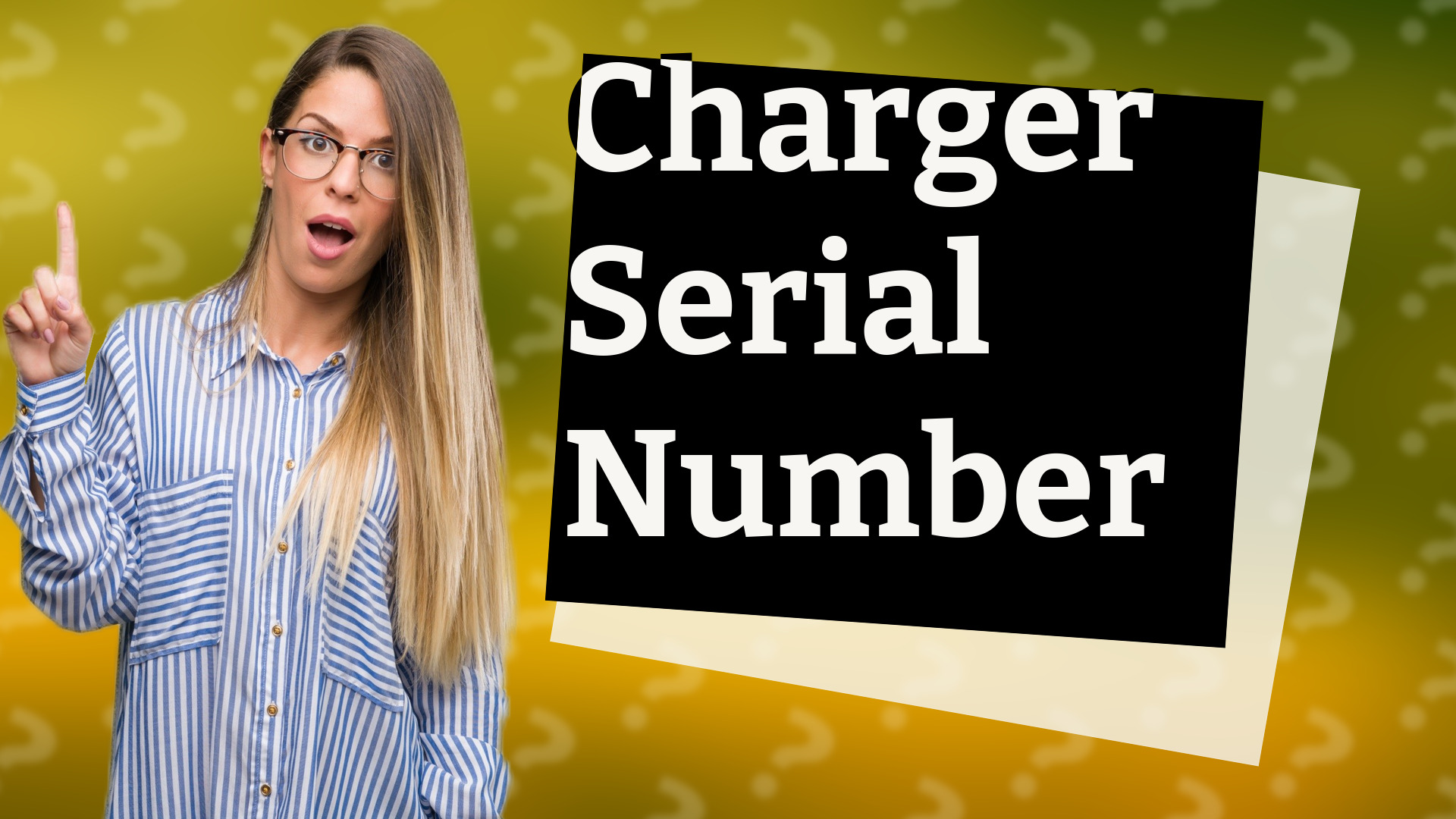 Charger Serial Number