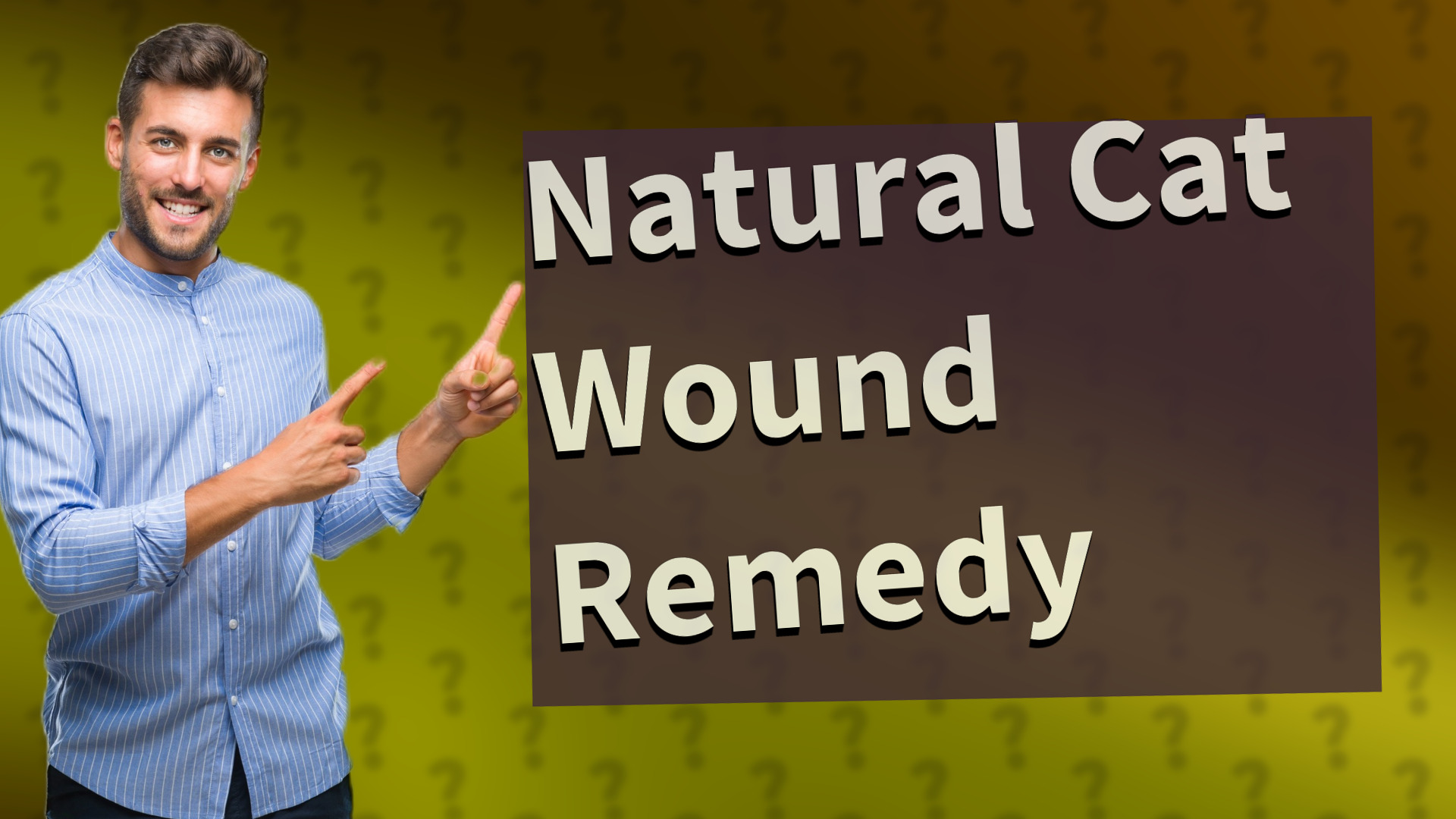 Natural Cat Wound Remedy