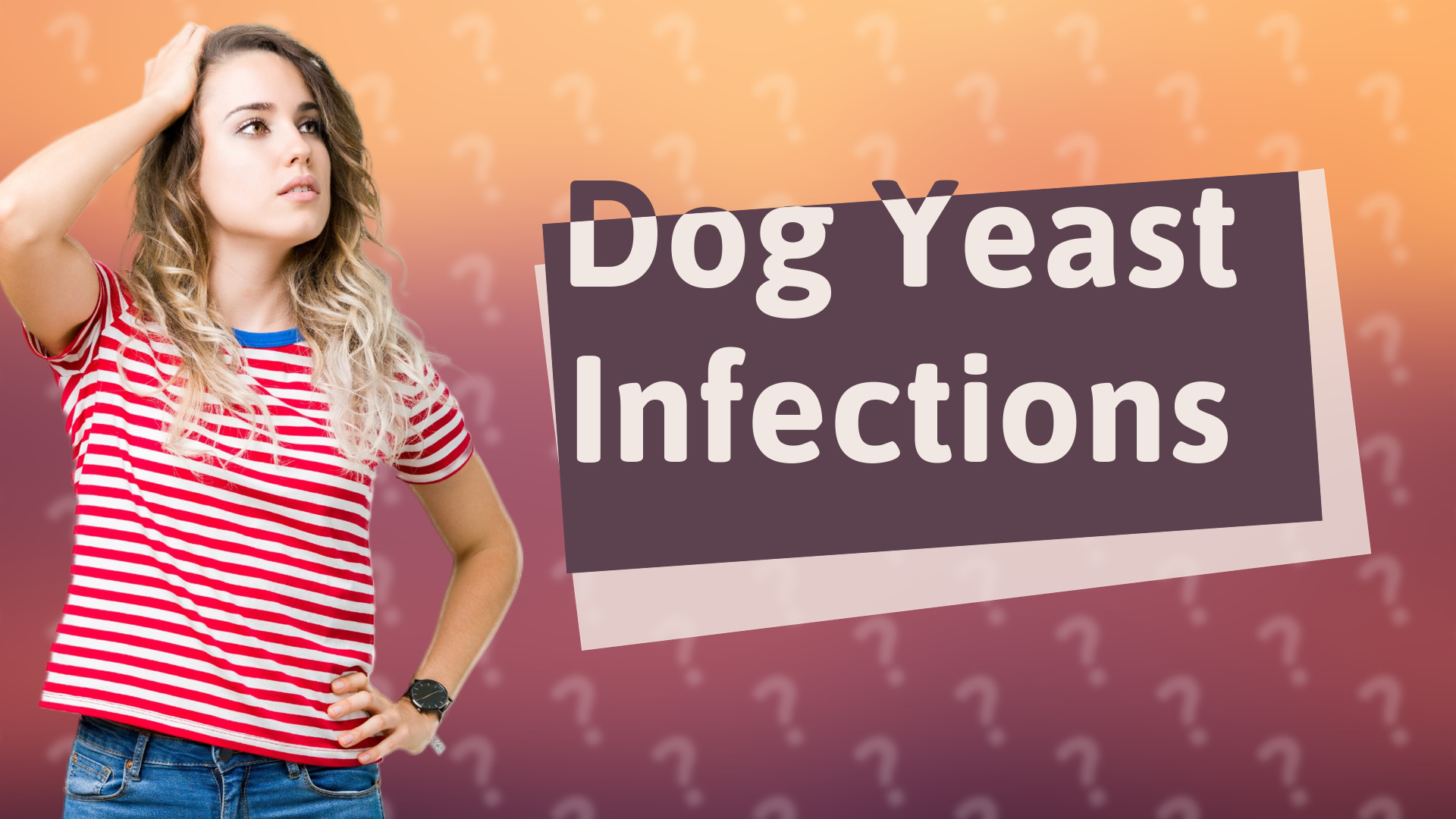 Dog Yeast Infections