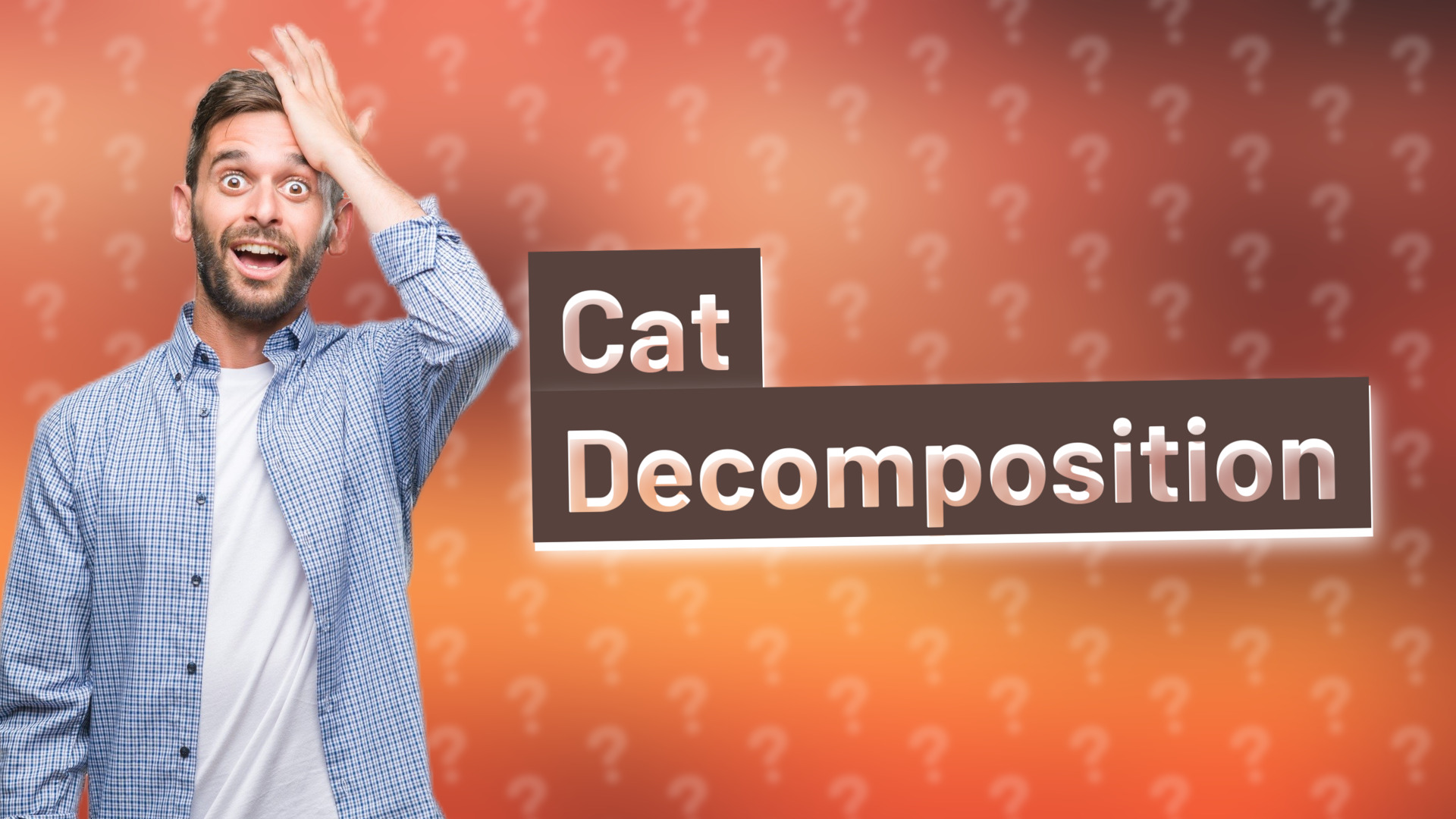 Cat Decomposition