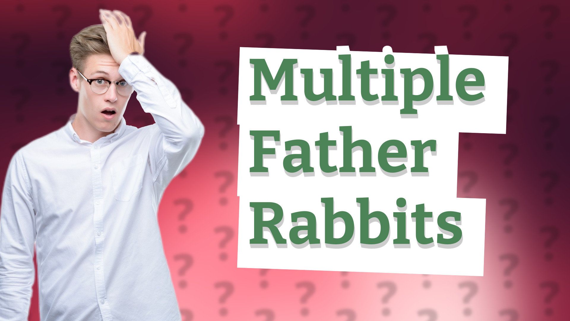 Multiple Father Rabbits