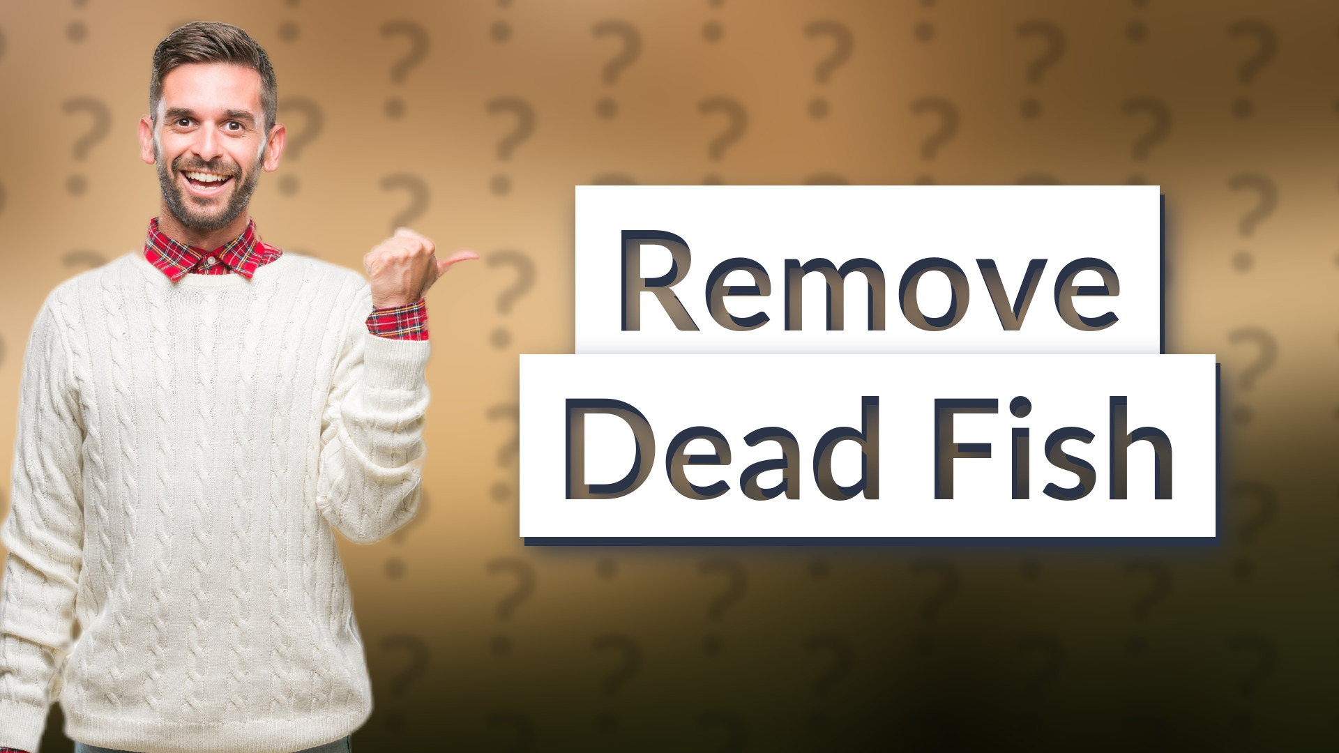 Remove Dead Fish