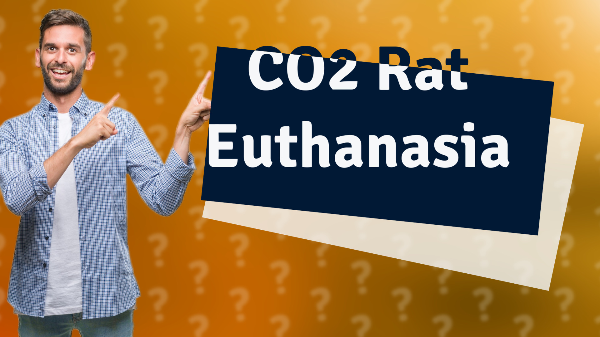 CO2 Rat Euthanasia