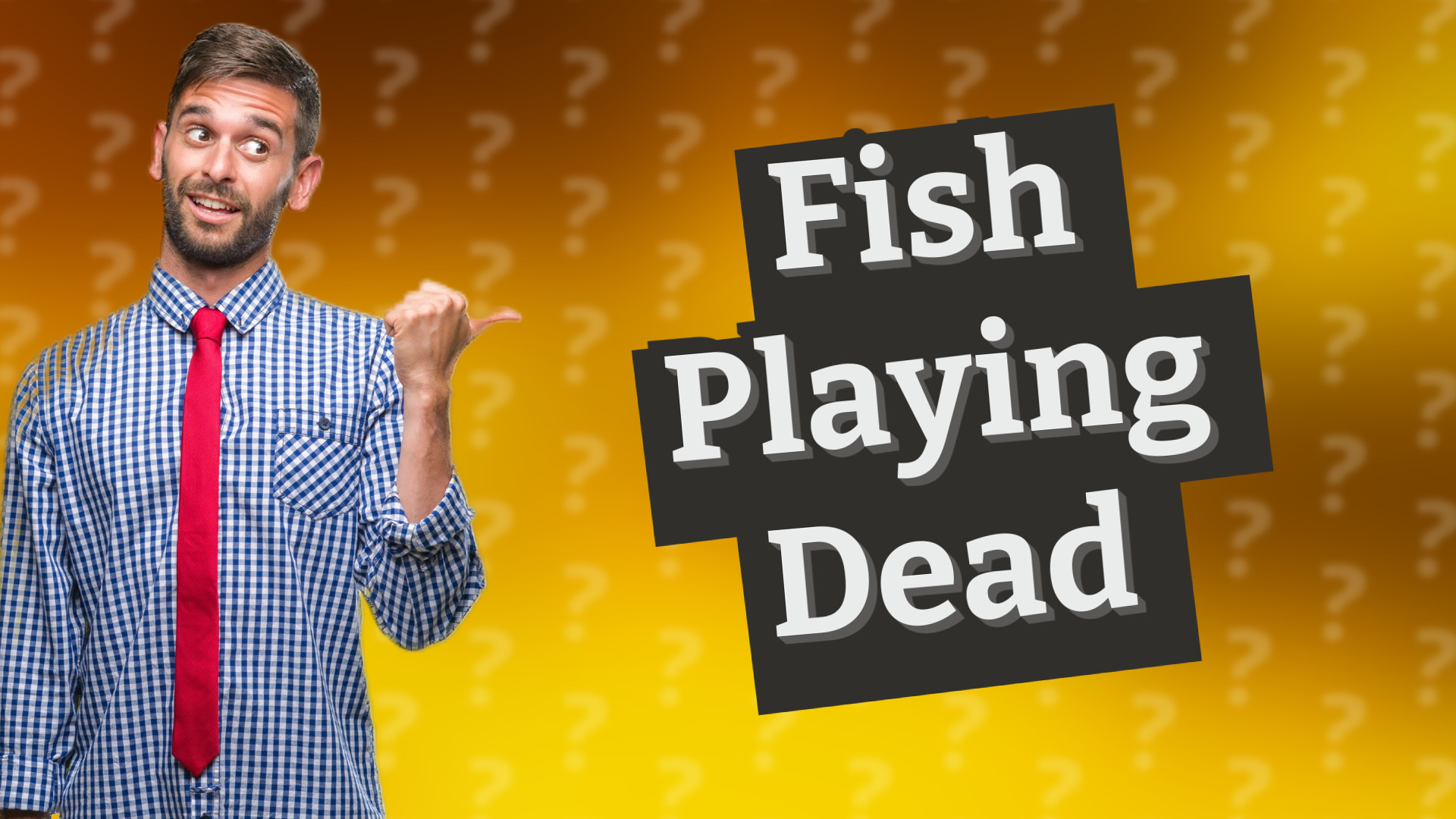 Fish Playing Dead