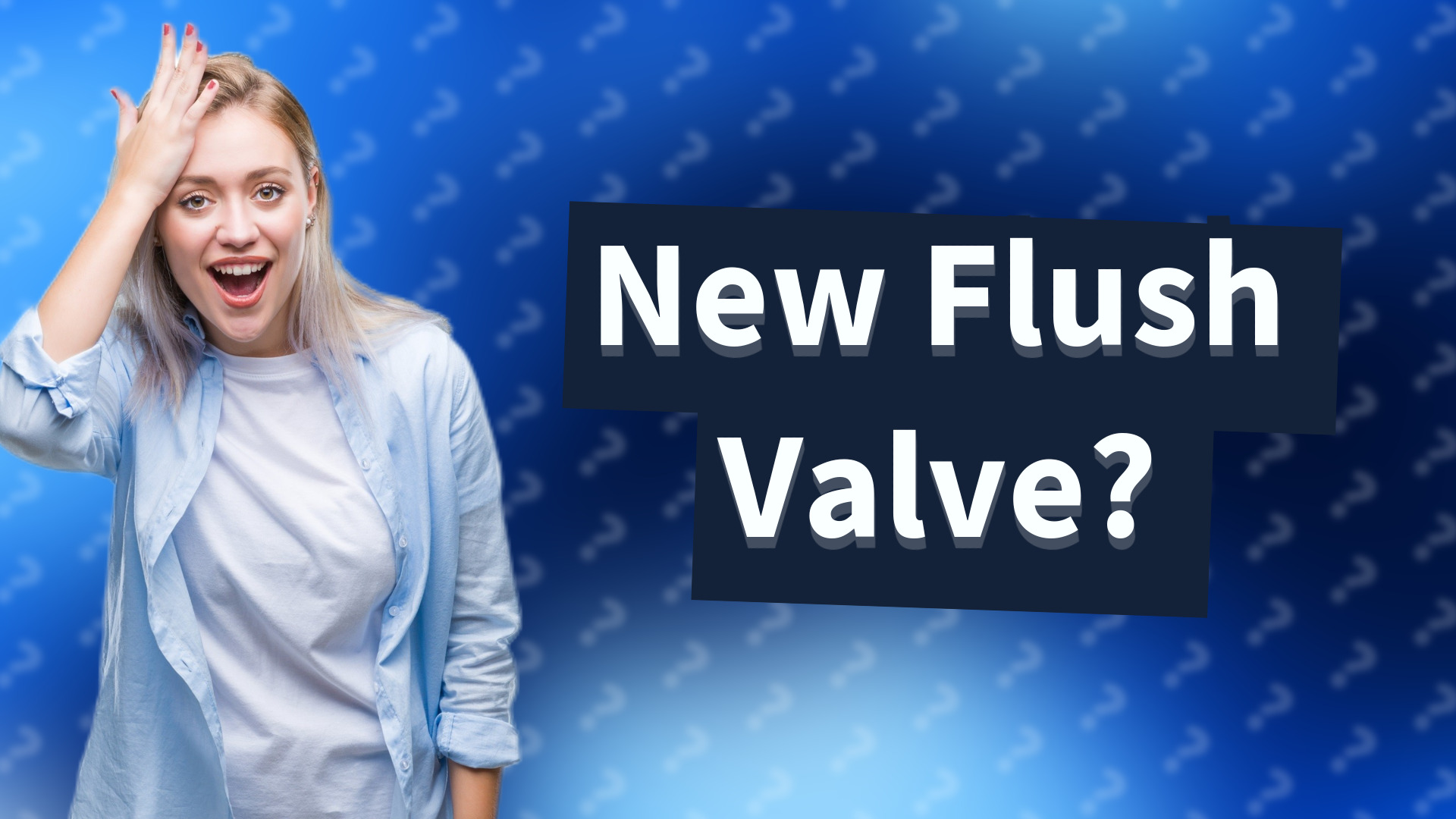 New Flush Valve?