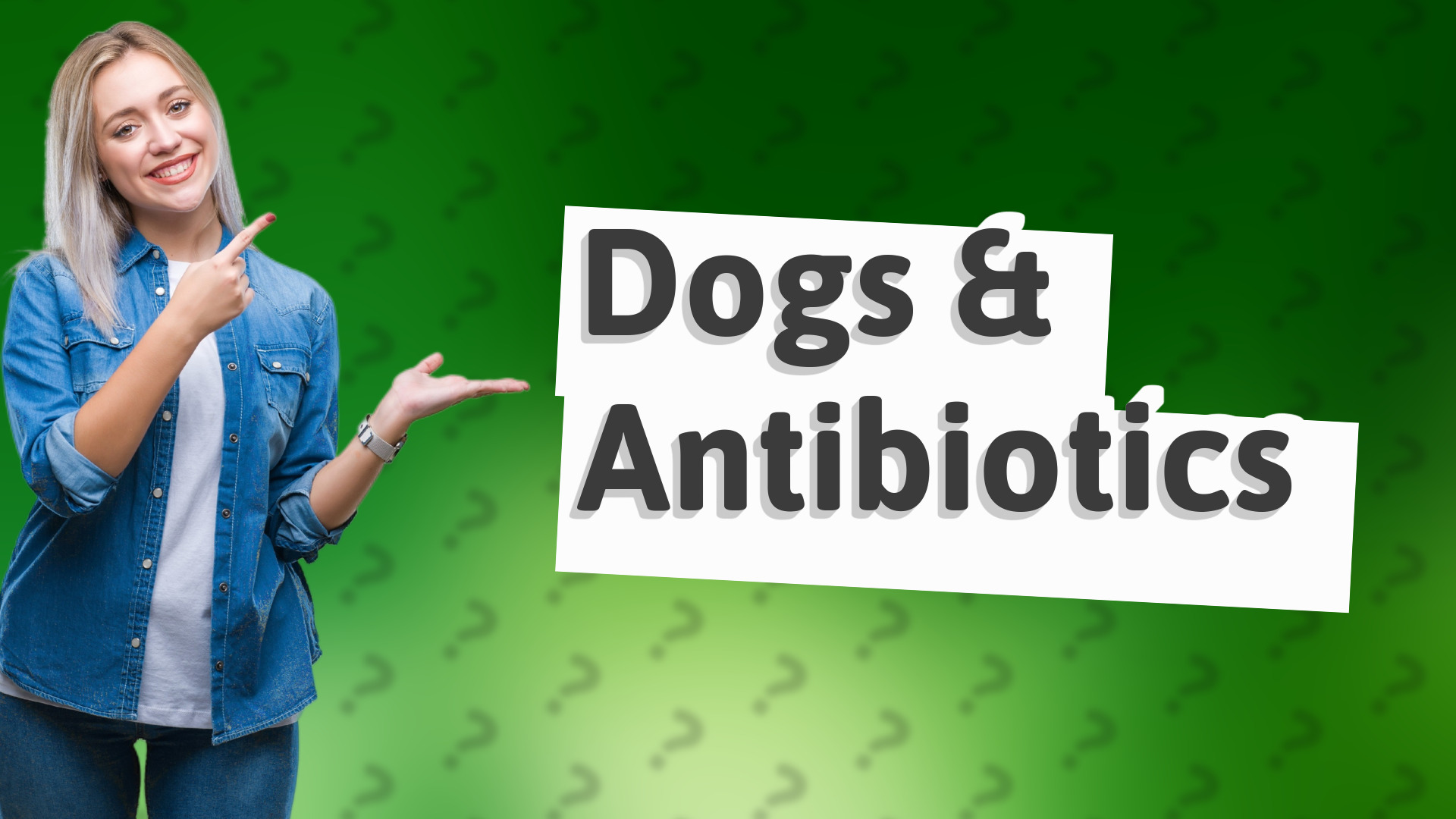 Dogs & Antibiotics
