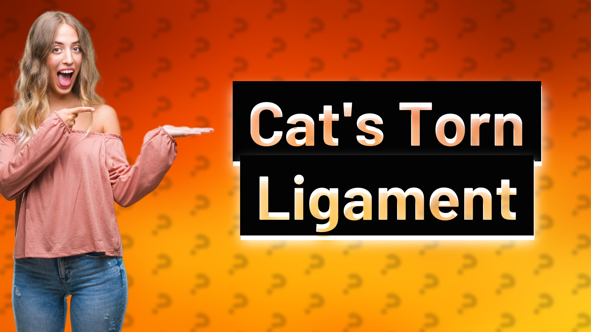 Cat's Torn Ligament