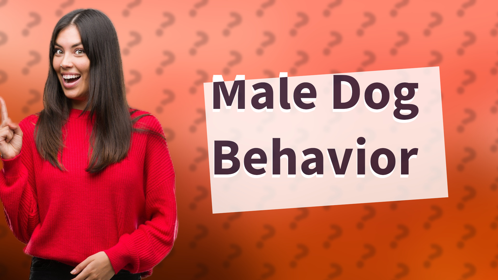 Male Dog Behavior