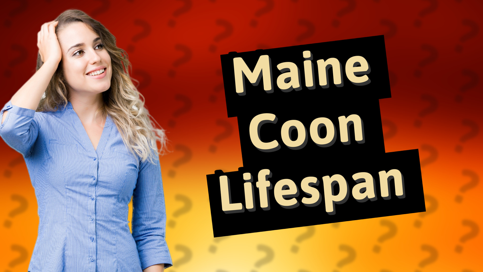 Maine Coon Lifespan