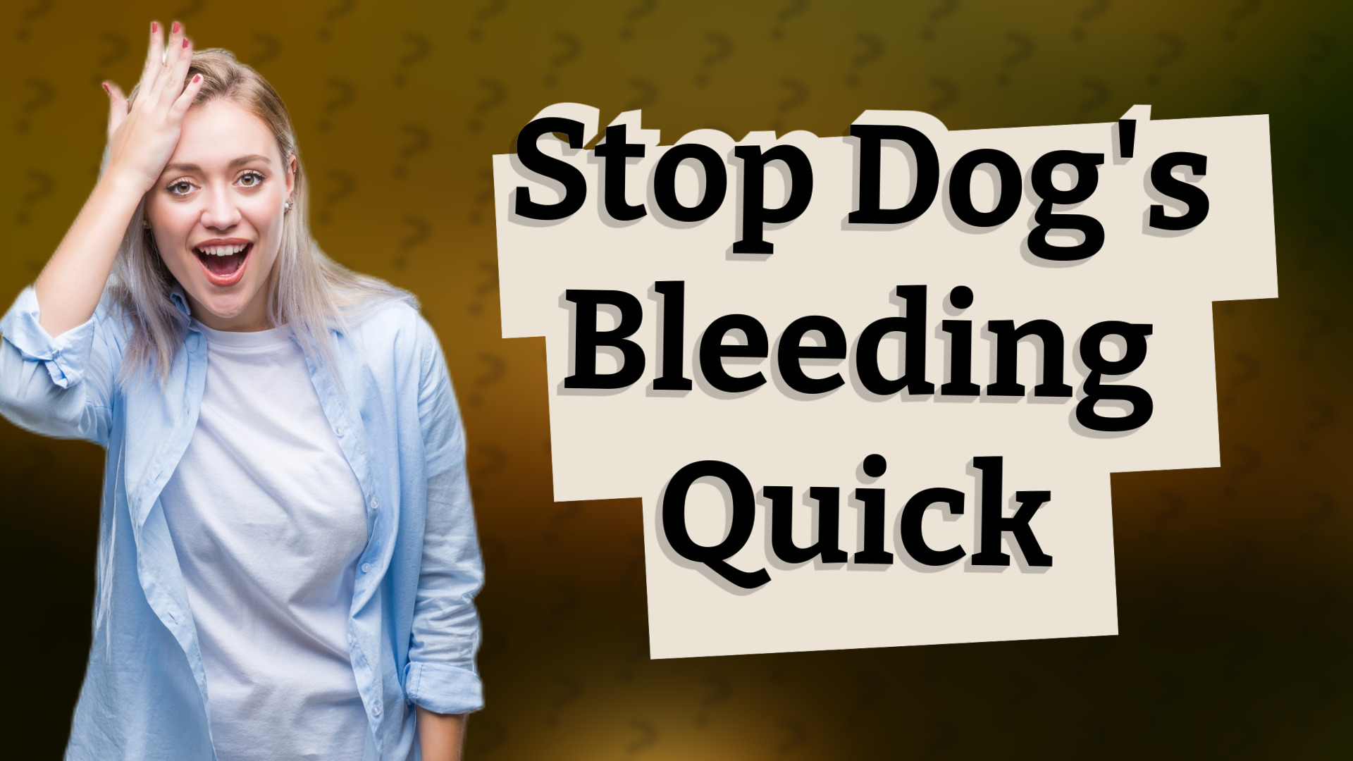 Stop Dog's Bleeding Quick