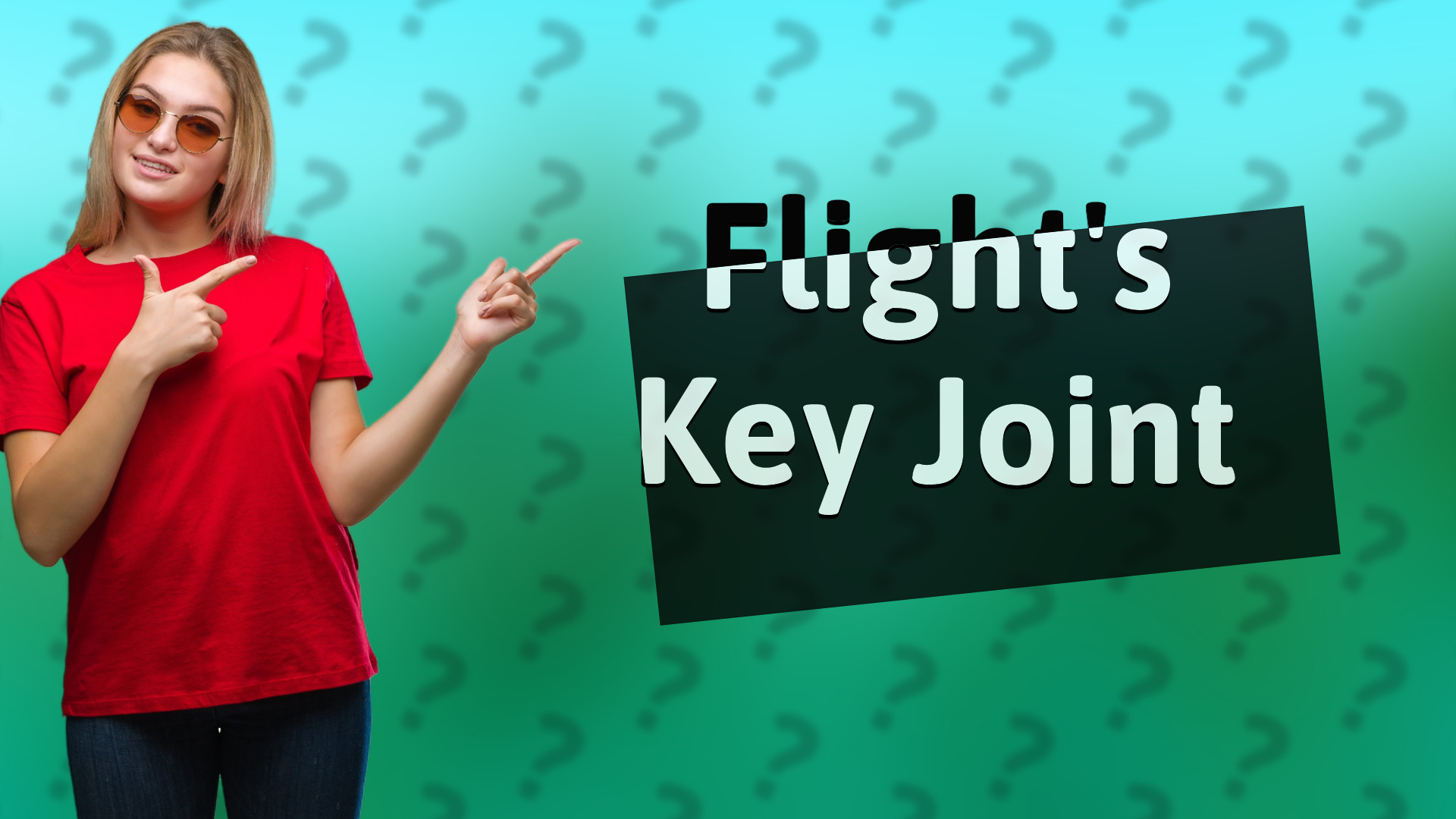 Flight's Key Joint