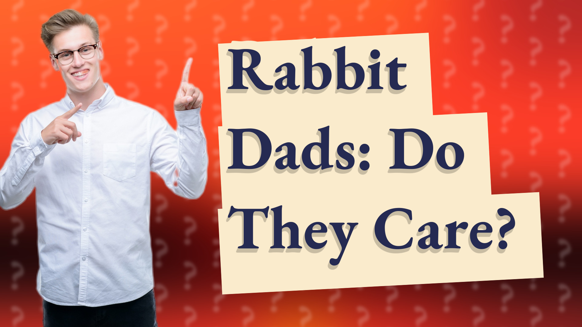 Rabbit Dads: Do They Care?