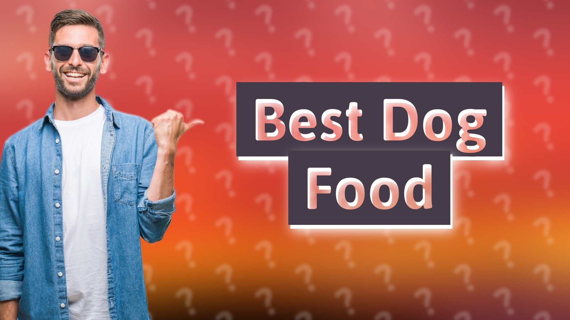 Best Dog Food