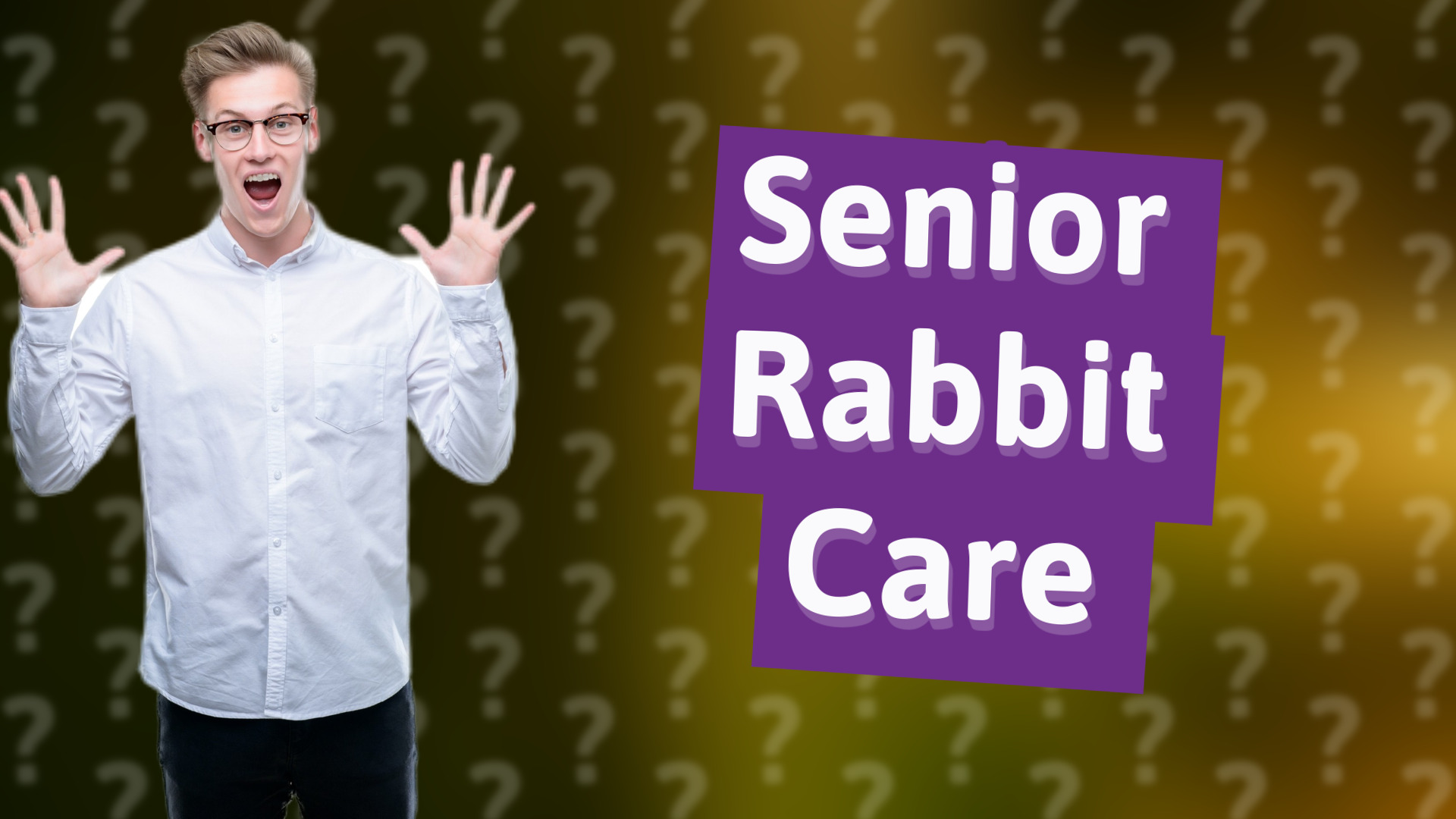 Senior Rabbit Care