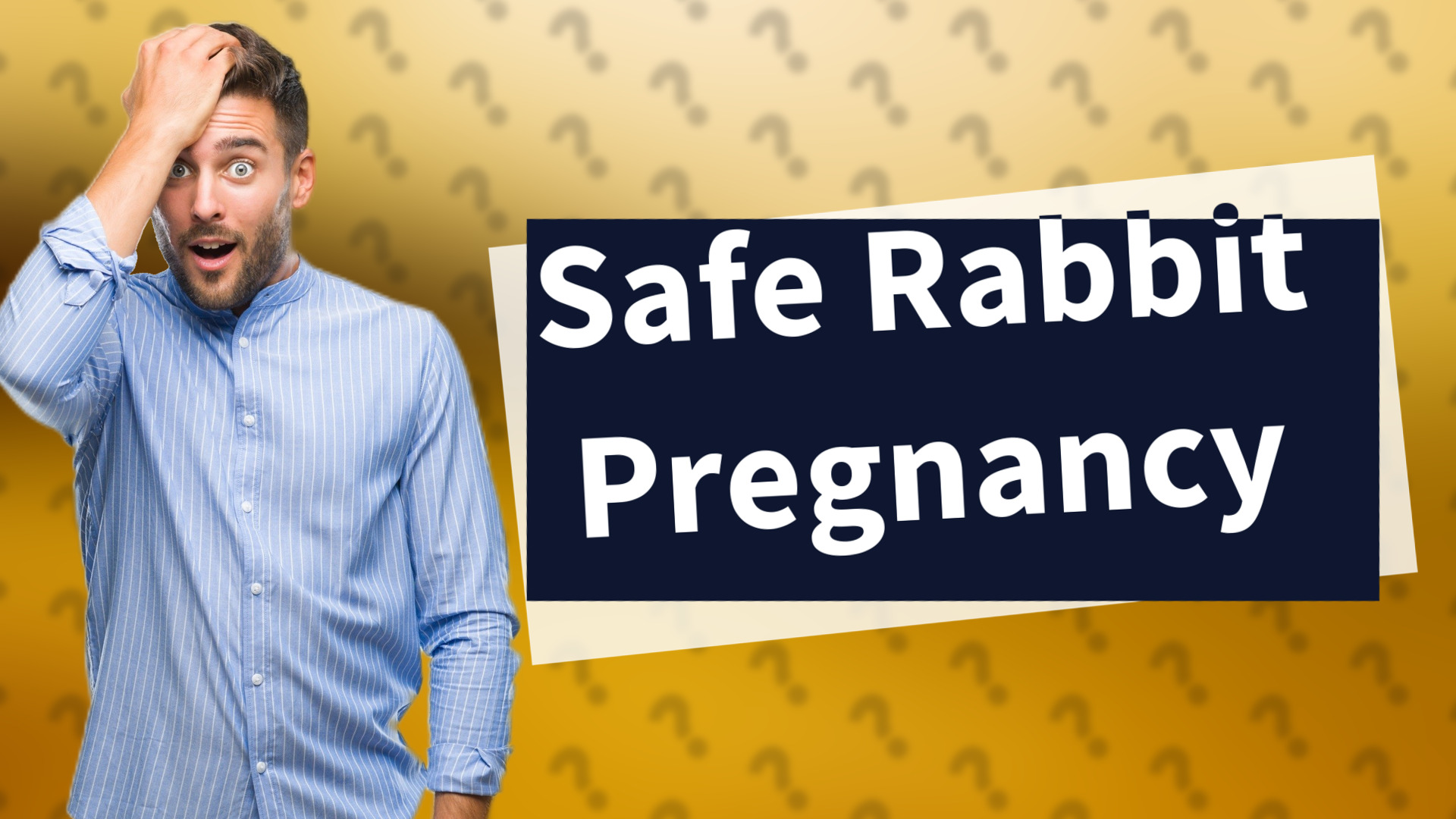 Safe Rabbit Pregnancy