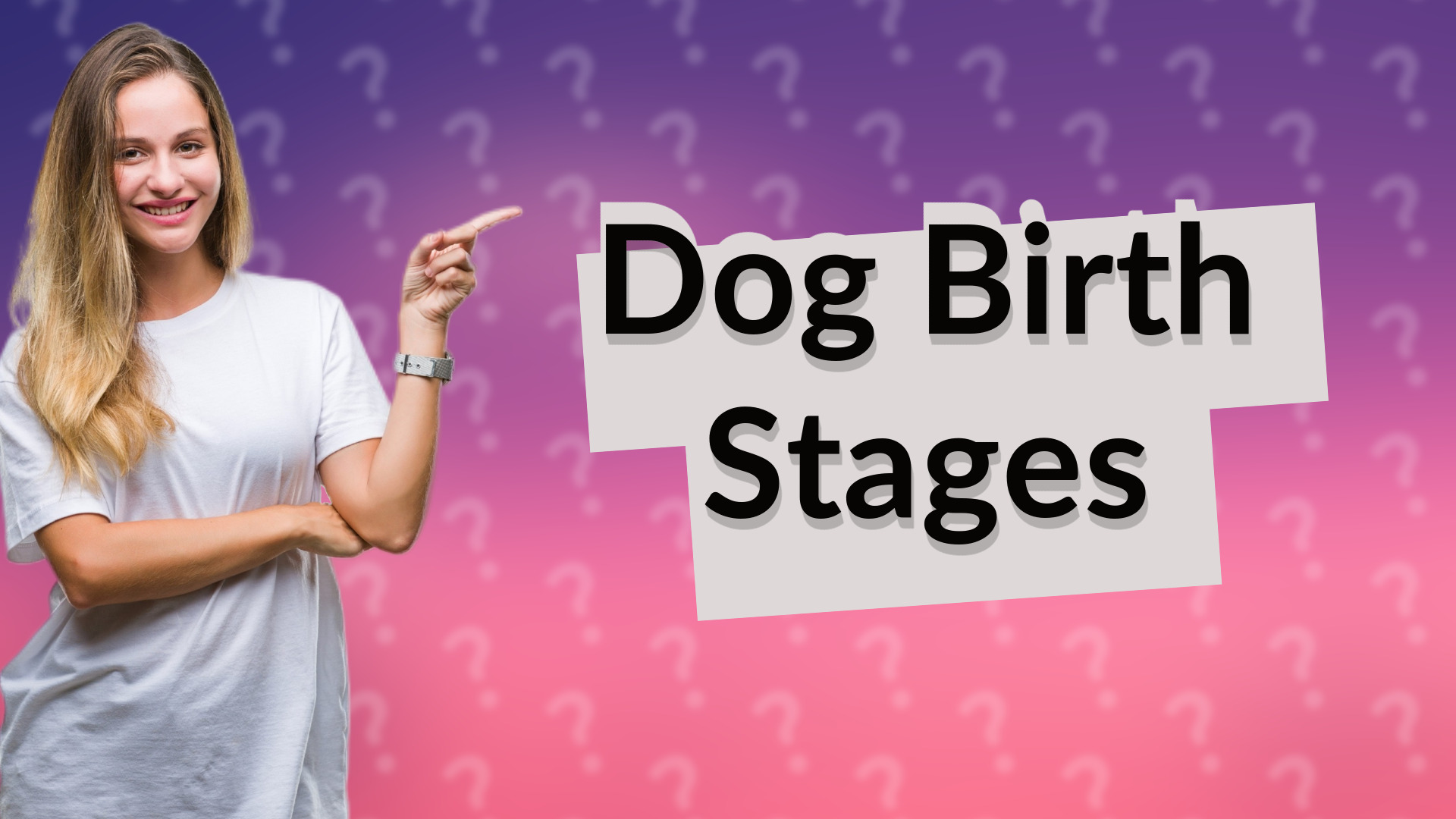 Dog Birth Stages