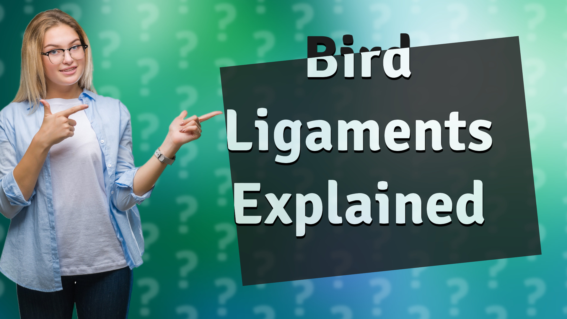 Bird Ligaments Explained