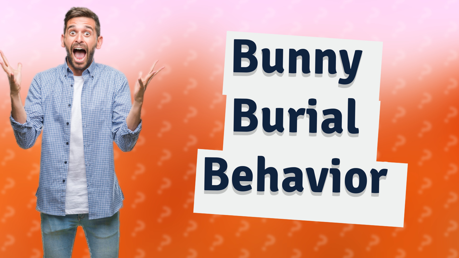 Bunny Burial Behavior