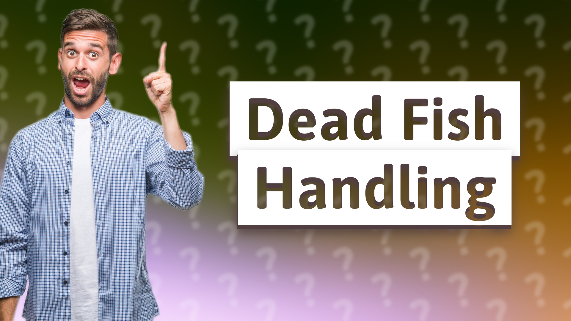 Dead Fish Handling