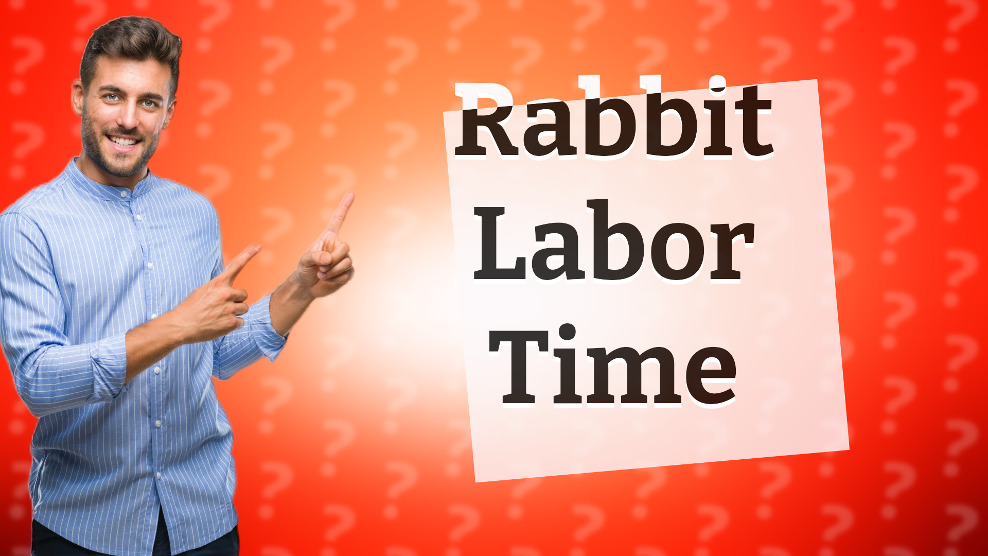 Rabbit Labor Time