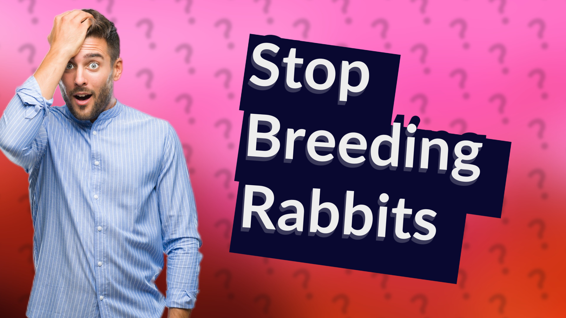 Stop Breeding Rabbits