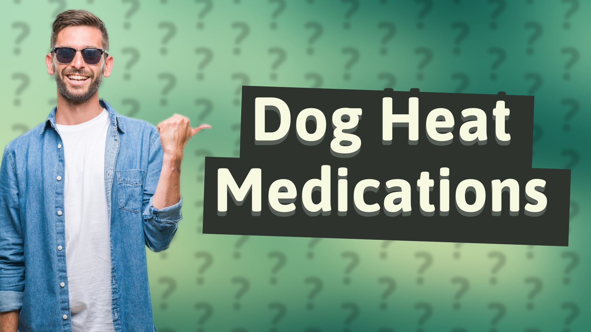 Dog Heat Medications