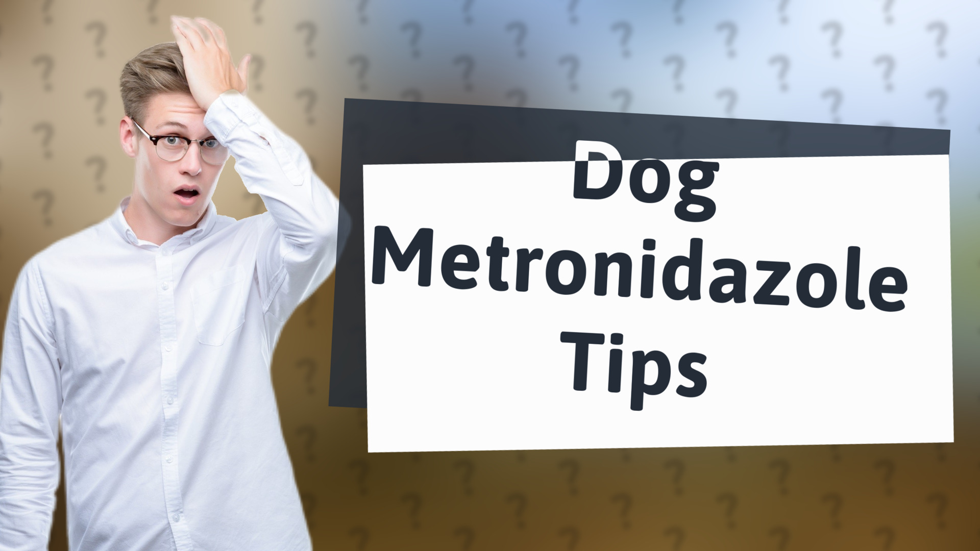 Dog Metronidazole Tips