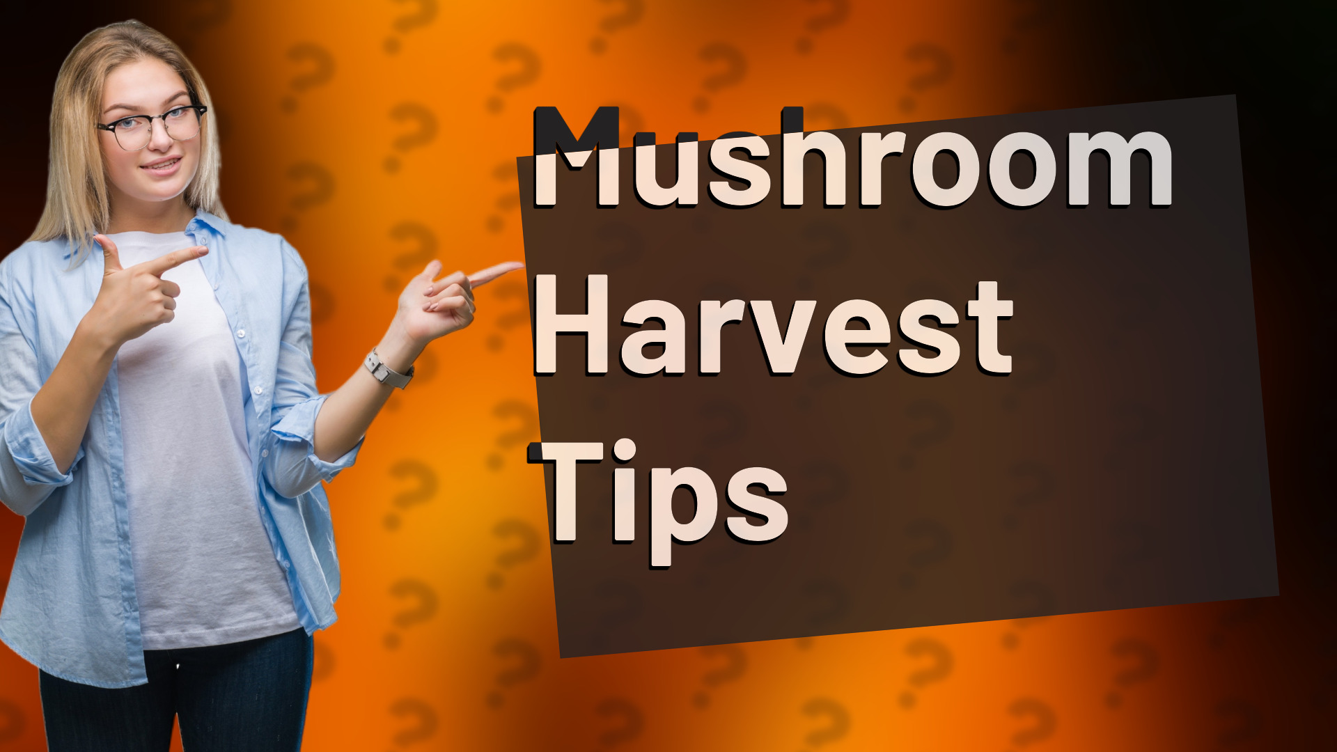 Mushroom Harvest Tips