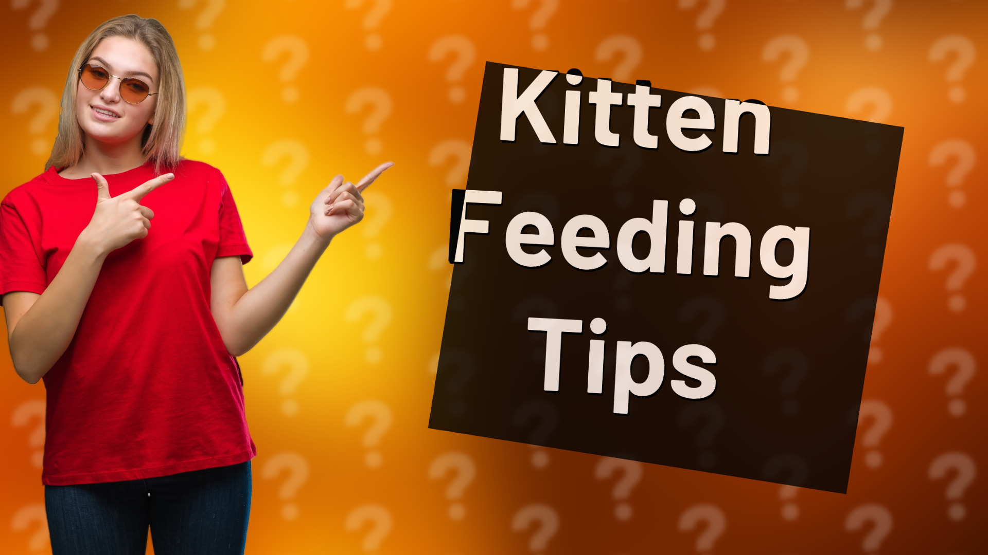Kitten Feeding Tips