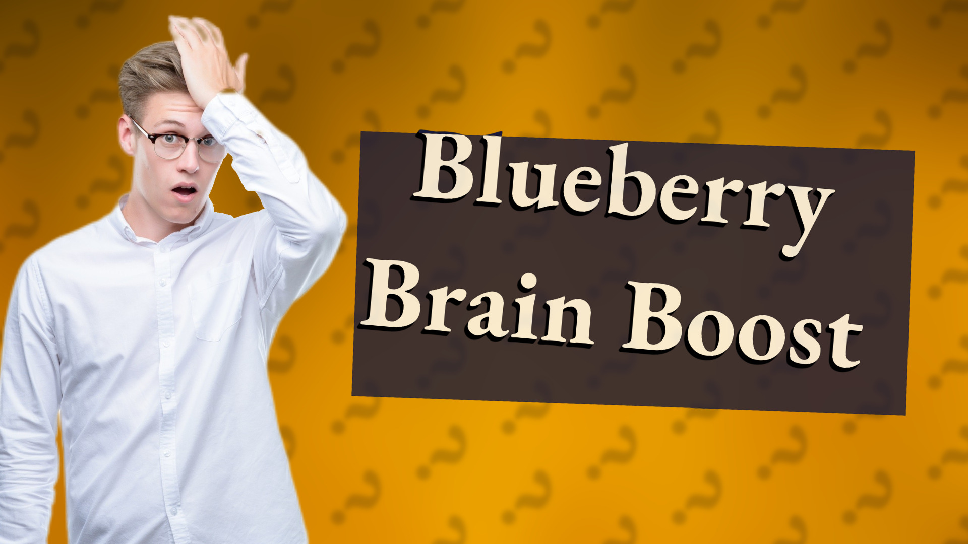 Blueberry Brain Boost