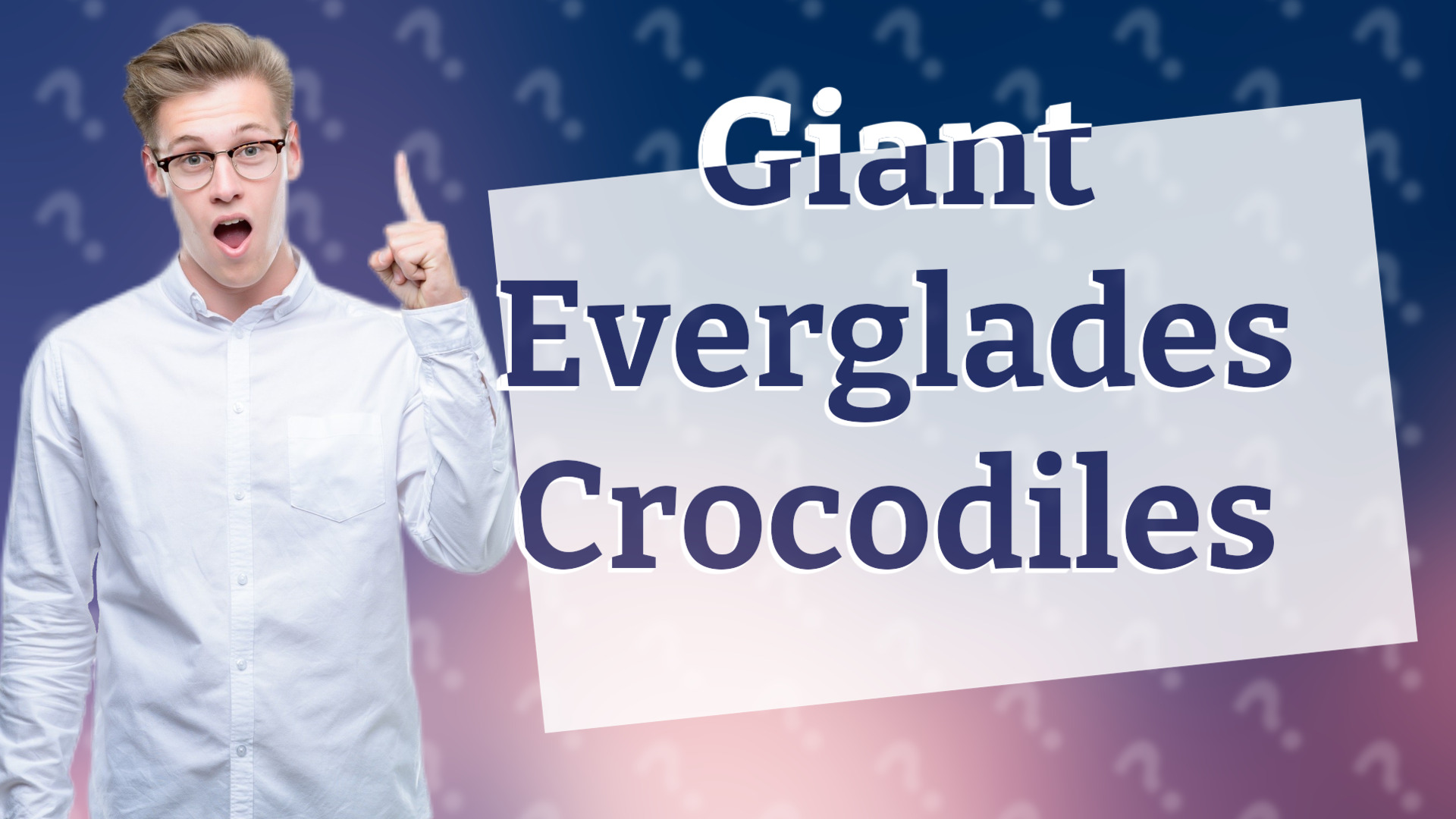 Giant Everglades Crocodiles