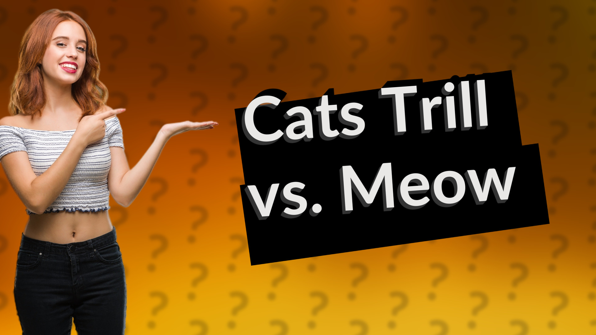 Cats Trill vs. Meow