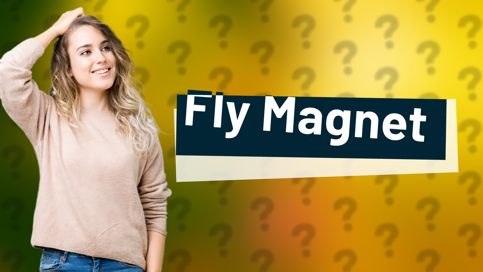 Fly Magnet
