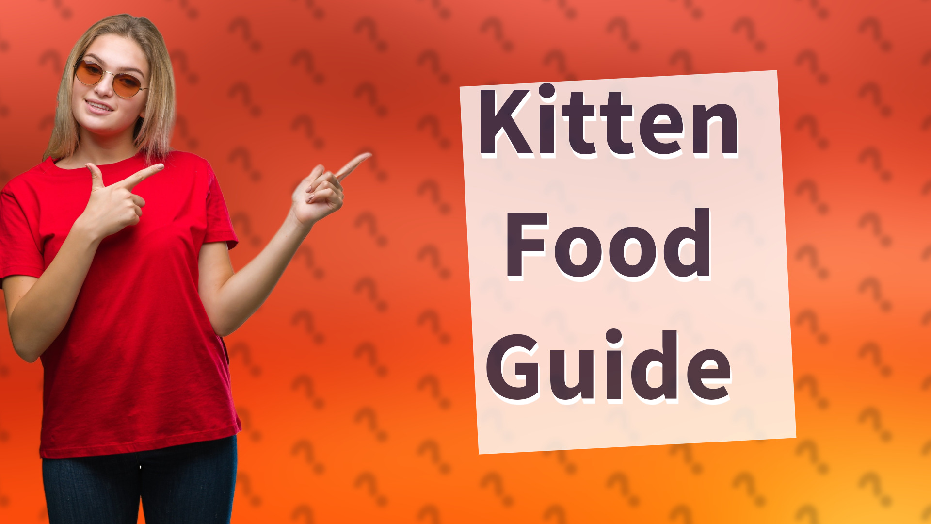 Kitten Food Guide