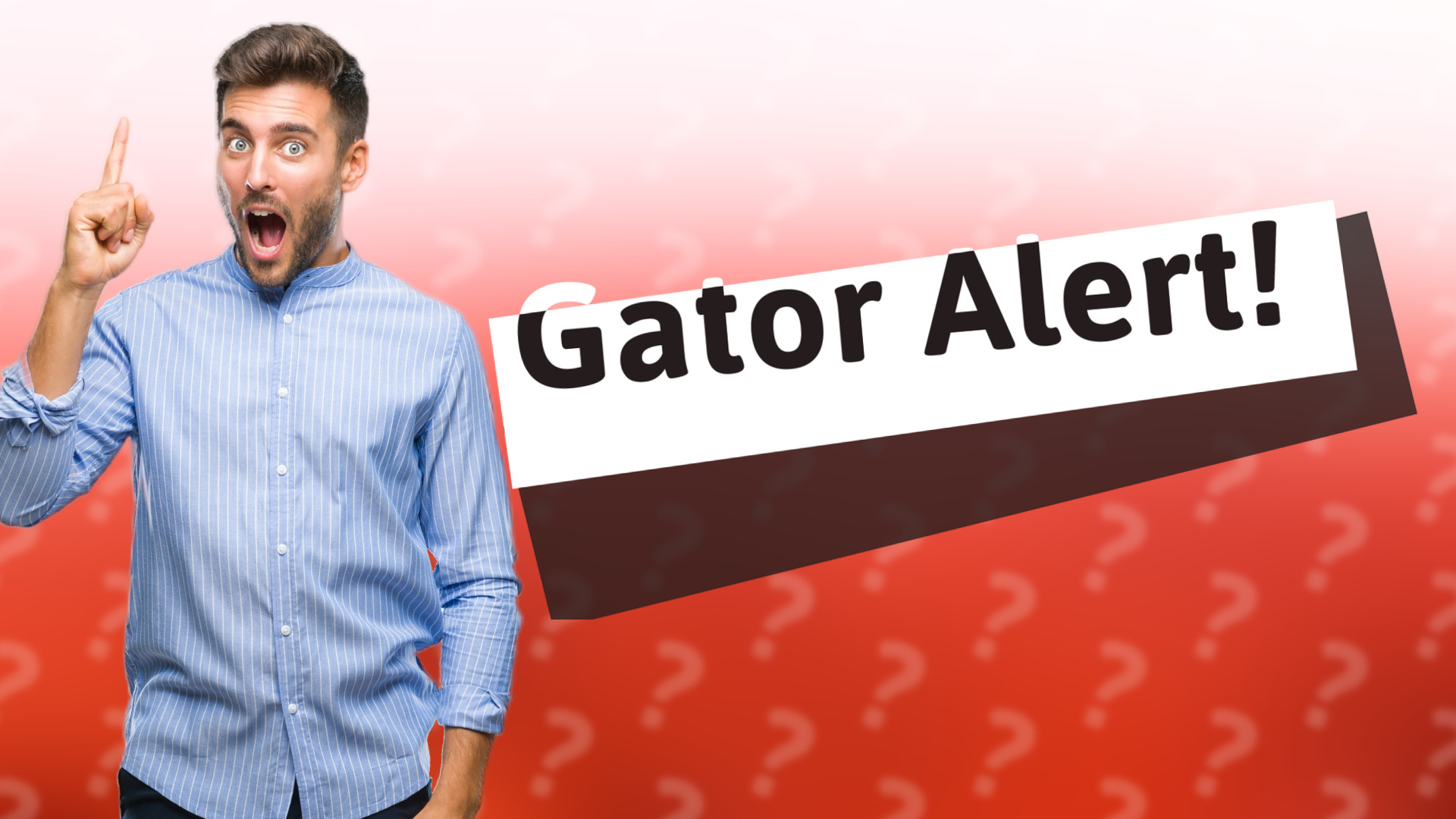 Gator Alert!