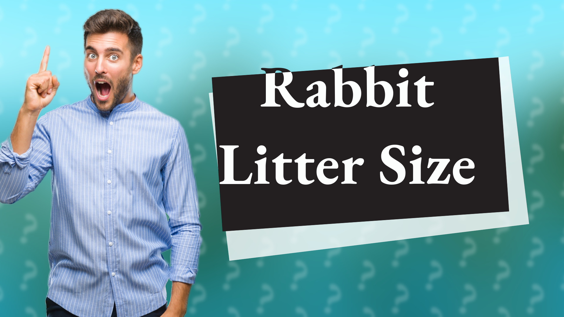 Rabbit Litter Size
