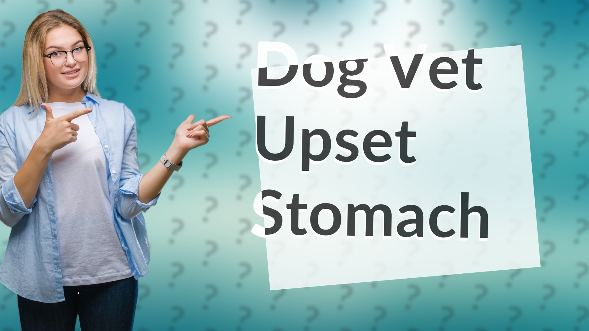 Dog Vet Upset Stomach