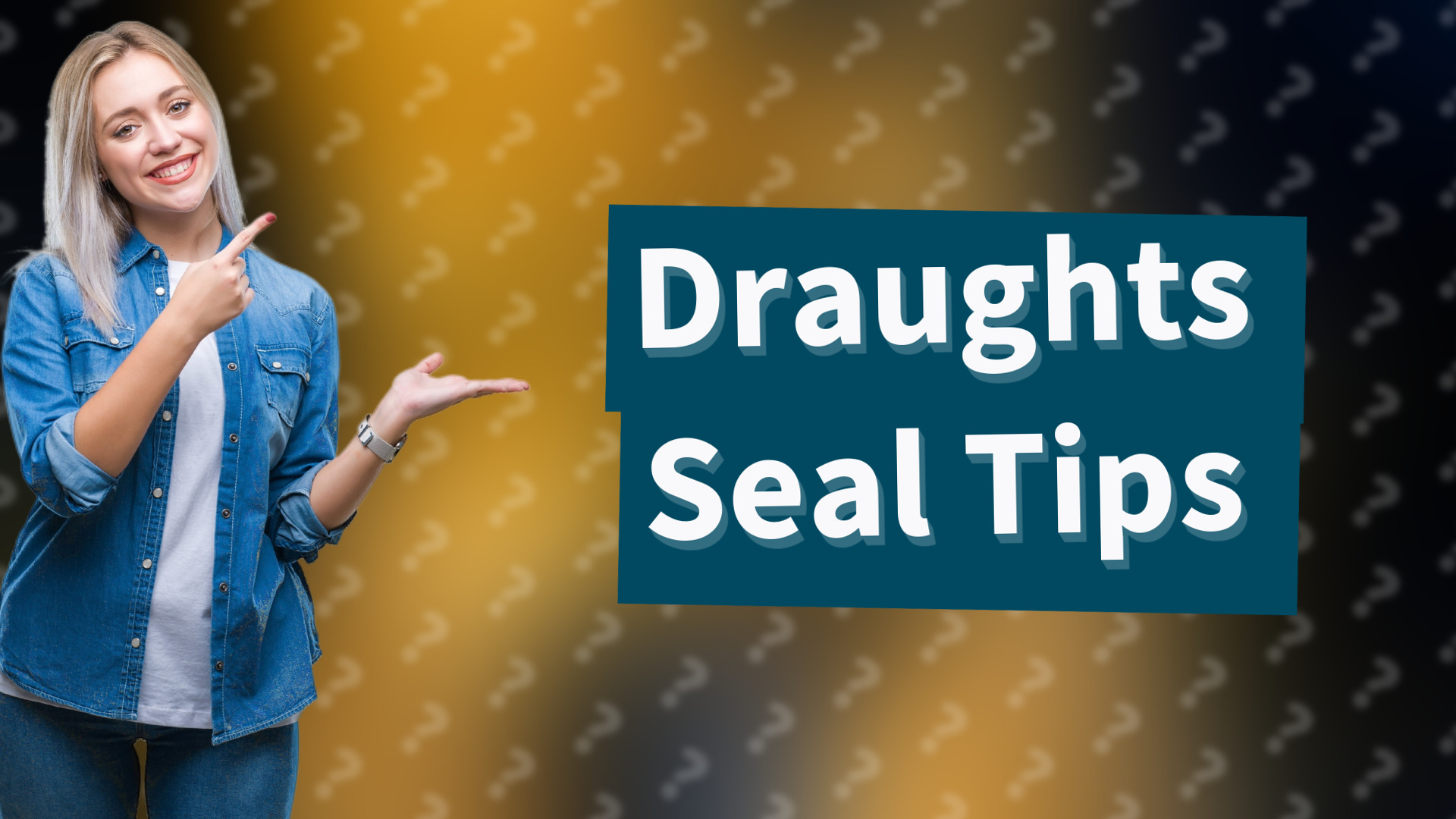 Draughts Seal Tips