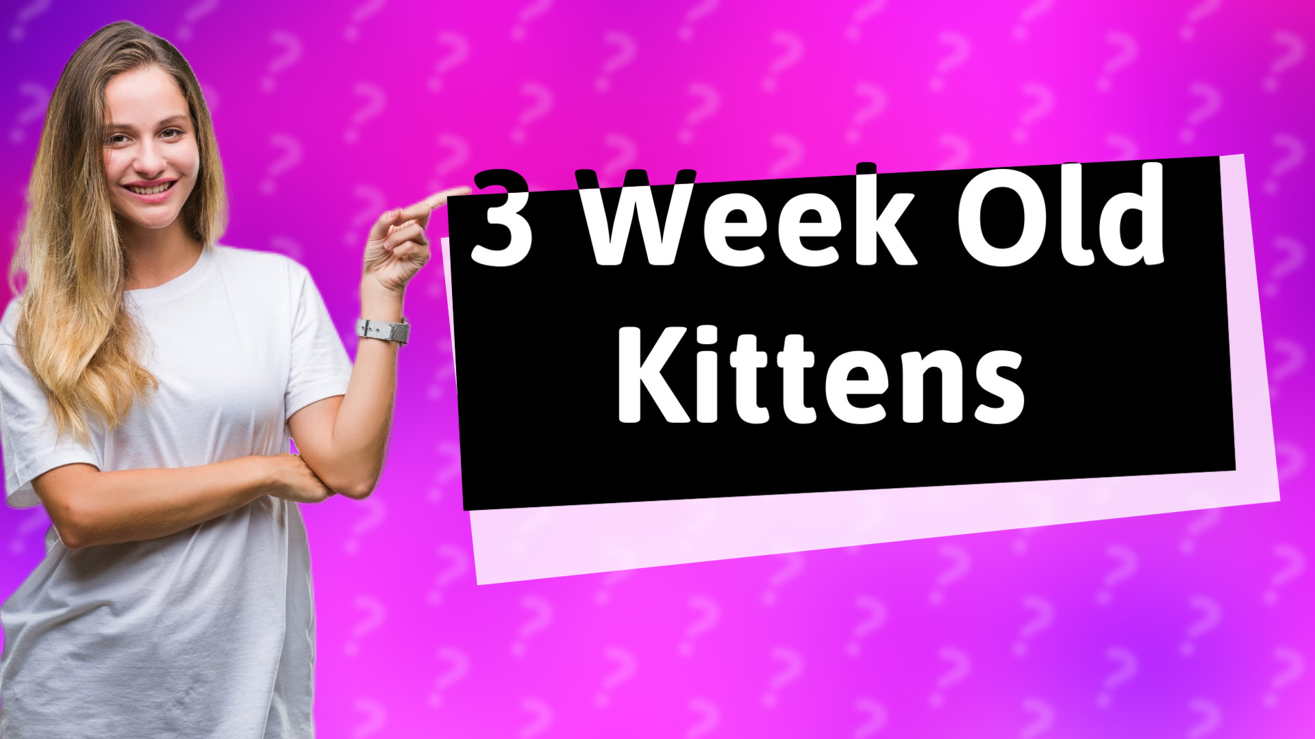 3 Week Old Kittens