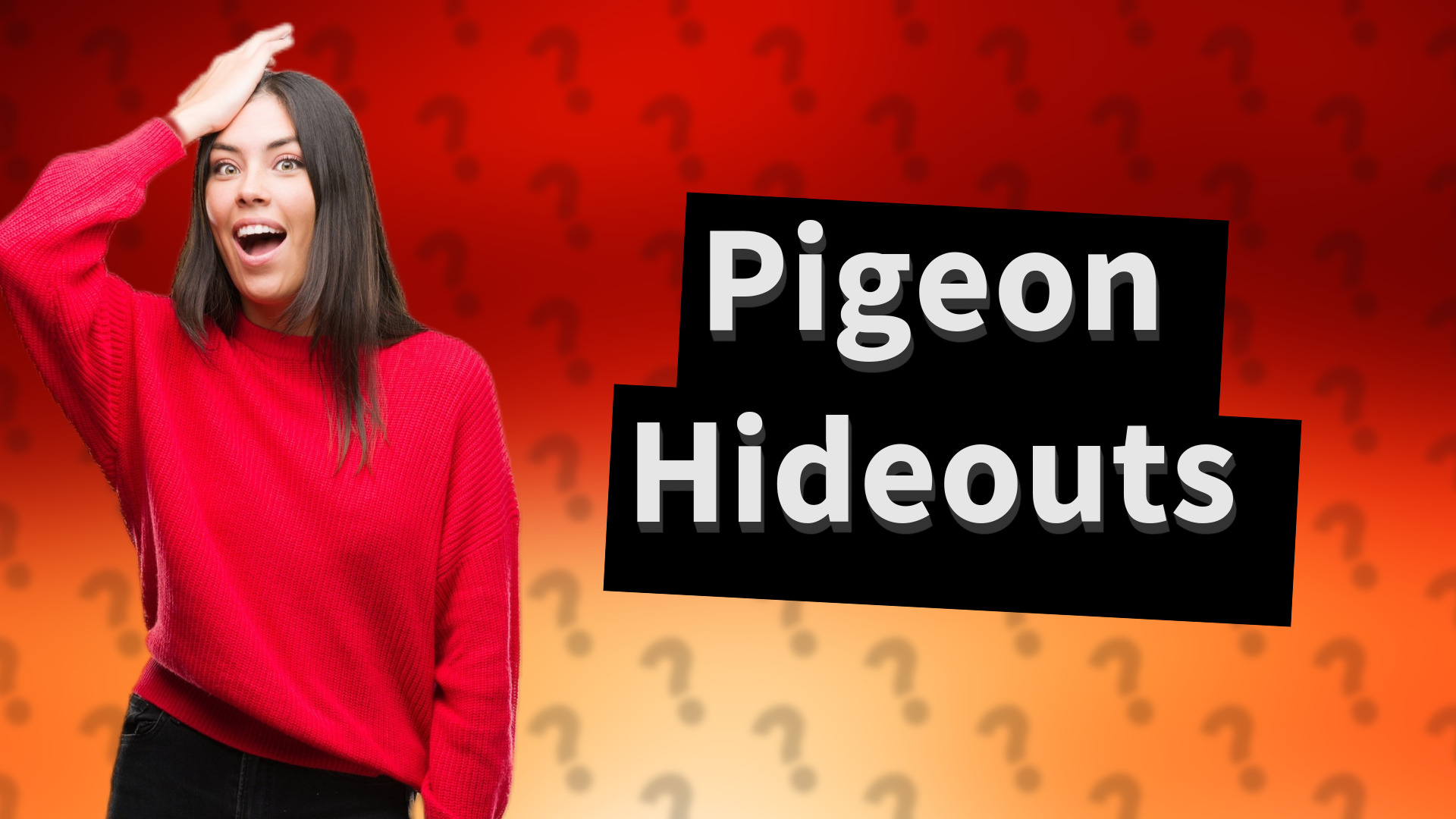 Pigeon Hideouts